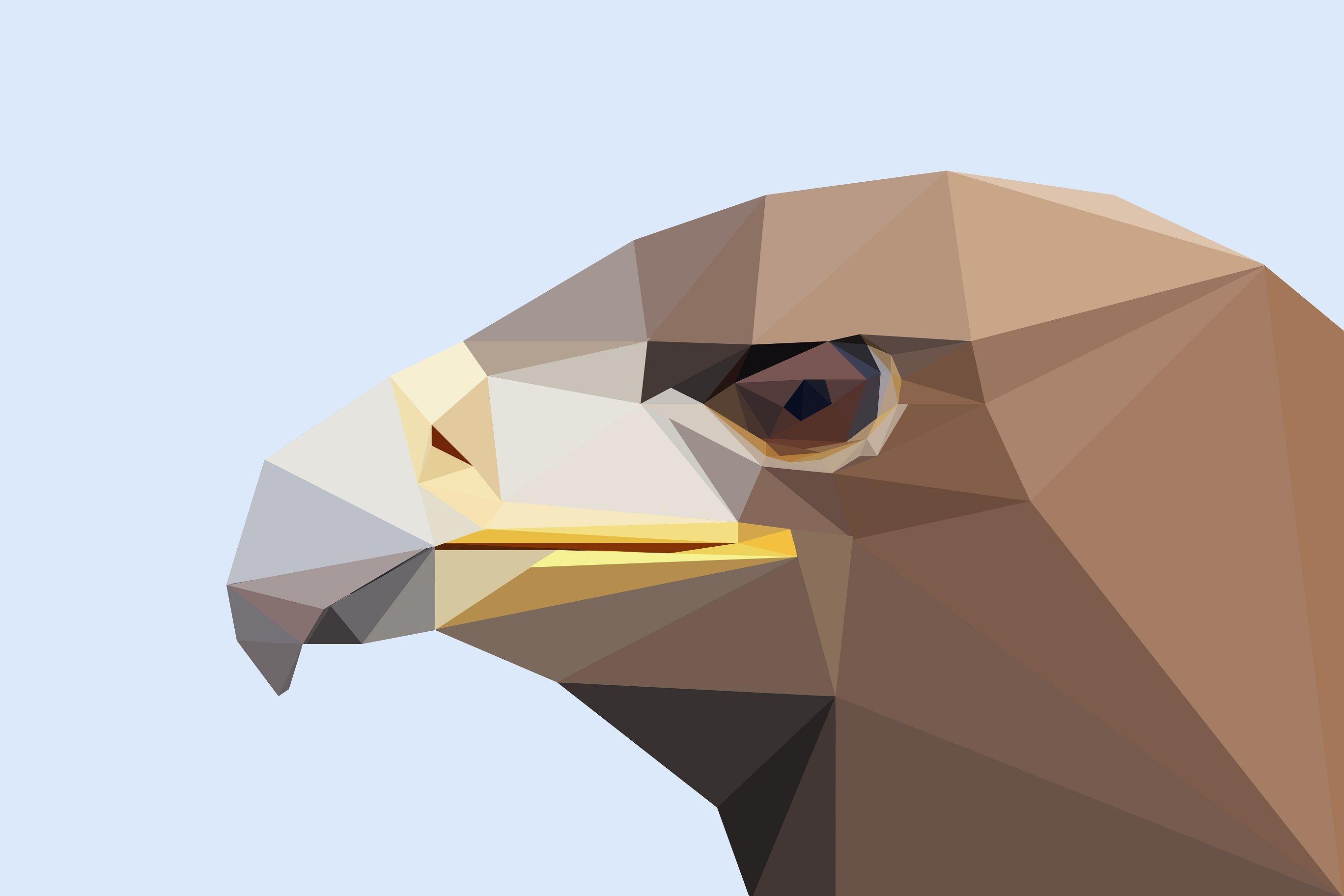 2736x1824 Low Poly Polygon Facets Artistic Bird .