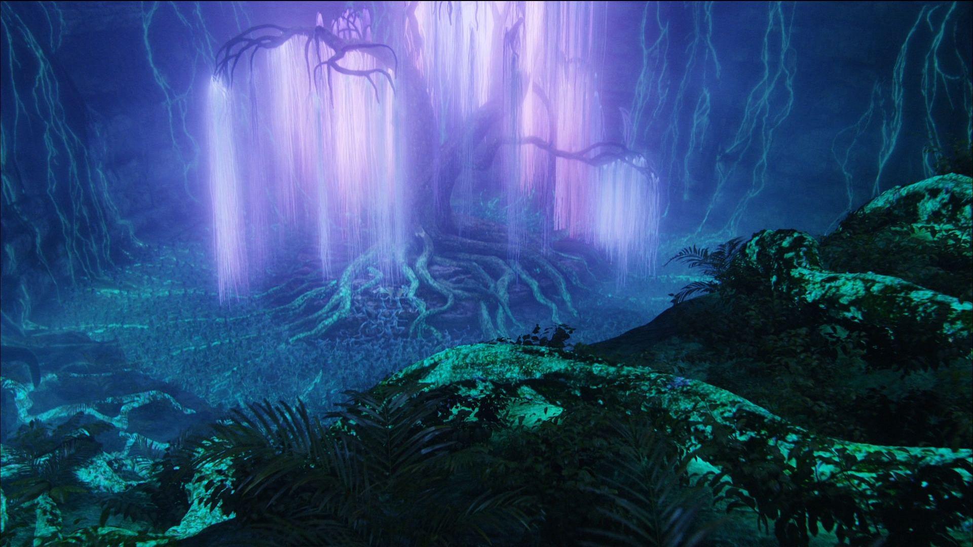 1920x1080 Zoom virtual background