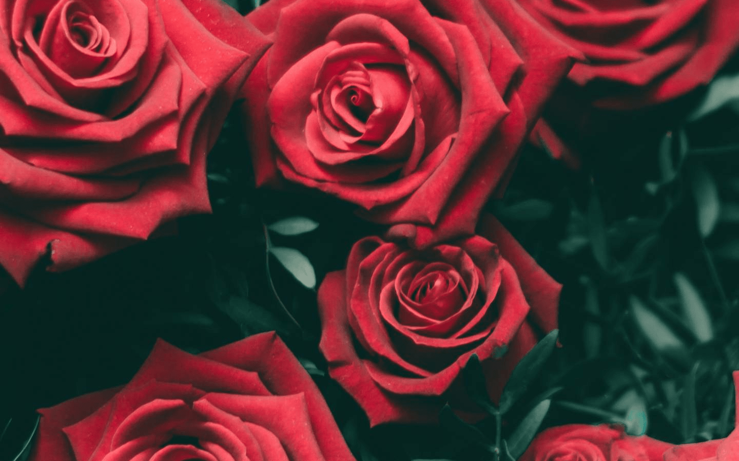 1440x900 GothDark Aesthetic wallpaper dump Album .
