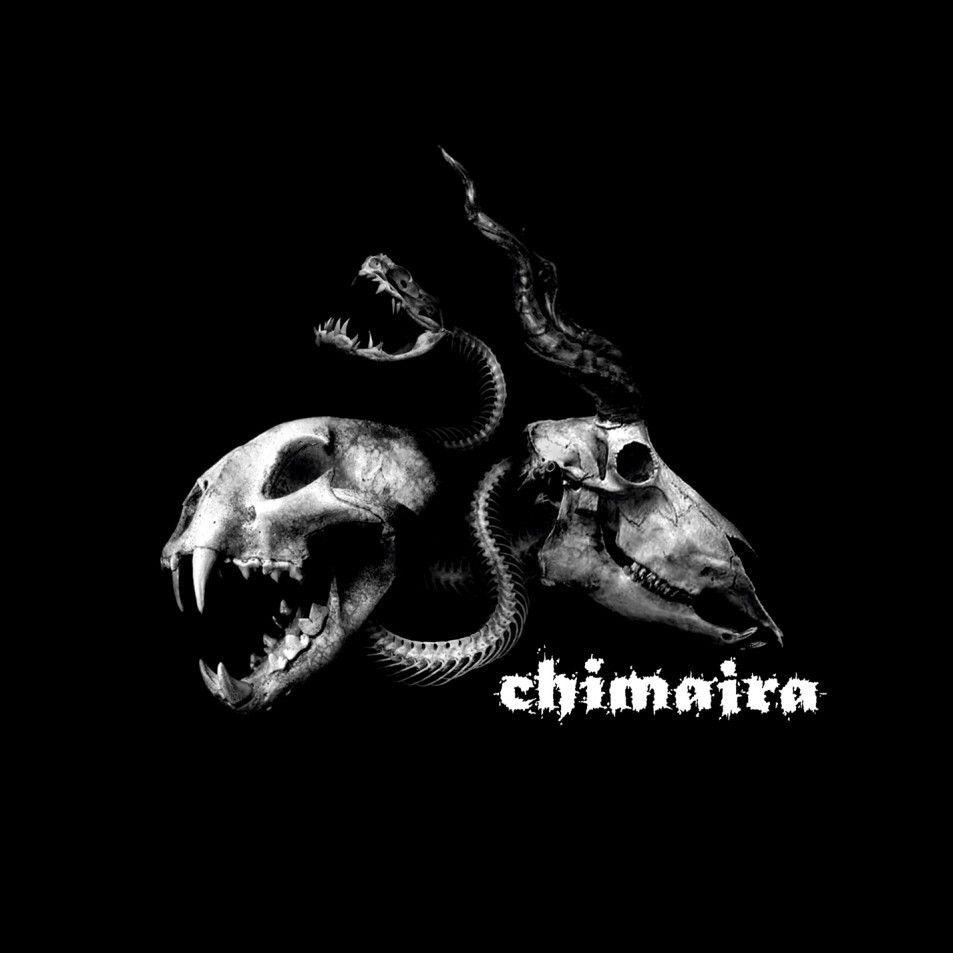 953x953 Chimaira