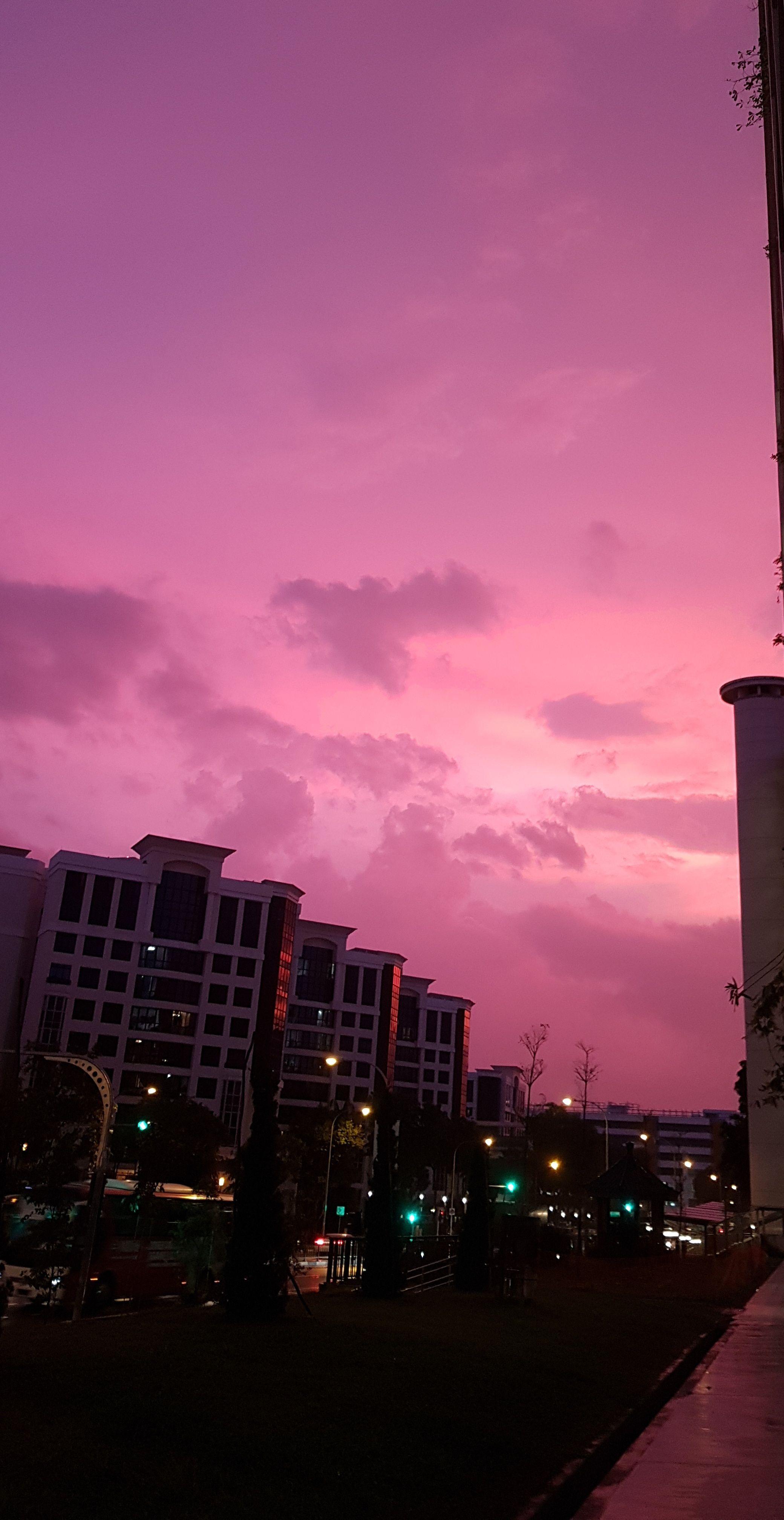 2080x4032 Pink Sunset Wallpaper