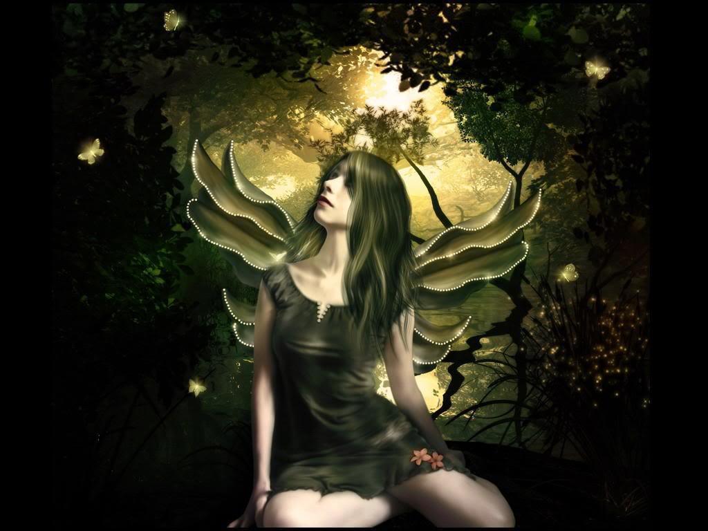 1024x768 Free download Shinning Butterfly Fairy .