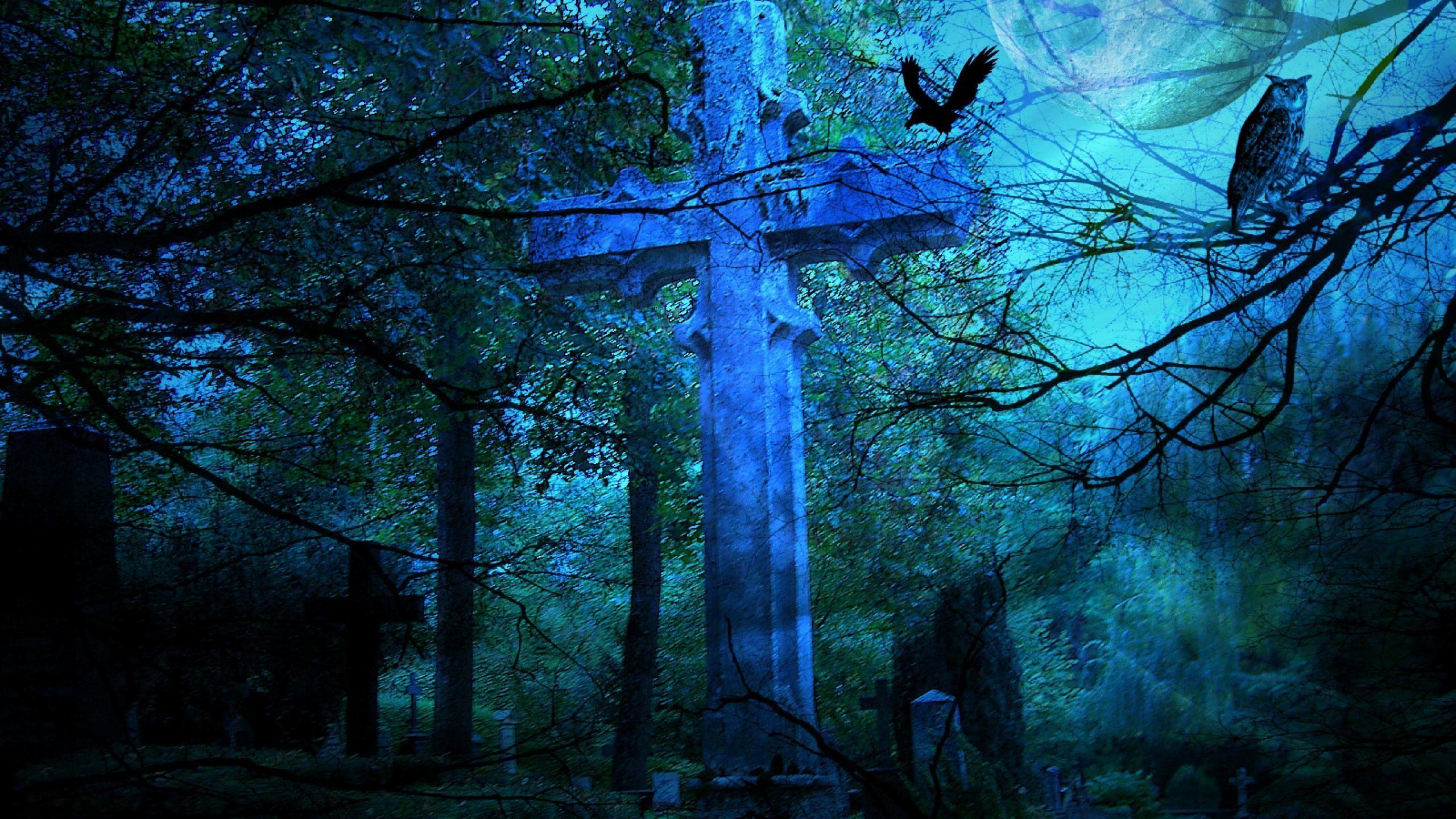 2560x1440 cross, raven, view, colourful, stock image, forest gothic, artwork