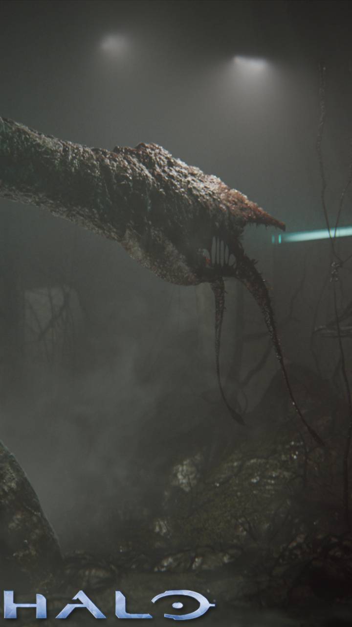 720x1280 GRAVEMIND wallpaper by Halostuff .