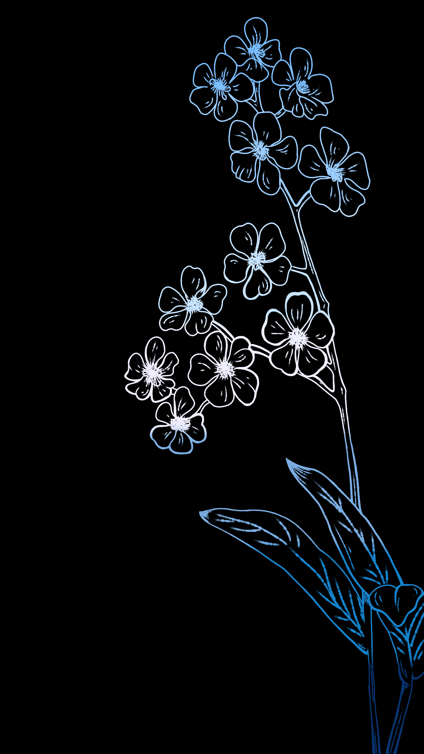1440x2560 Gay Men Pride with Forget Me Nots .
