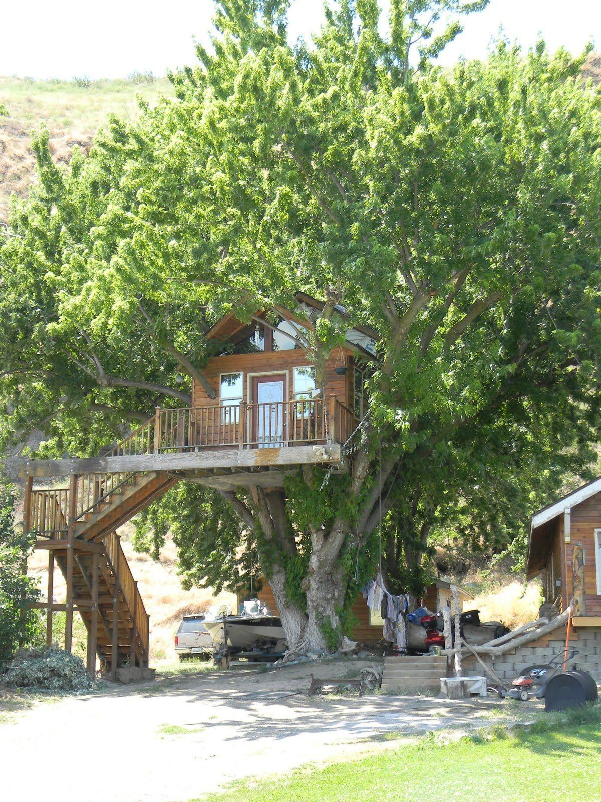 1200x1600 Tree house wallpaper, Cool tree houses .com.mx