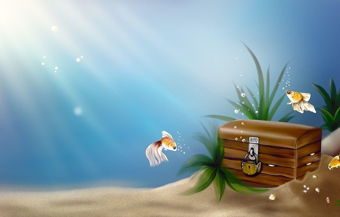 1332x850 Treasure Chest Wallpaperwallpaper.dog