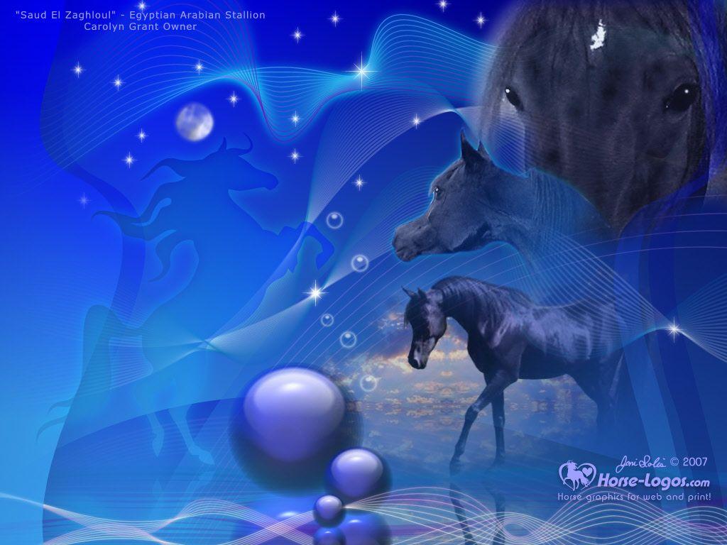 1024x768 Free Horse Screensaverd wallpaper, blue background and beautiful bla. Computer screen wallpaper, Desktop wallpaper background, Desktop wallpaper