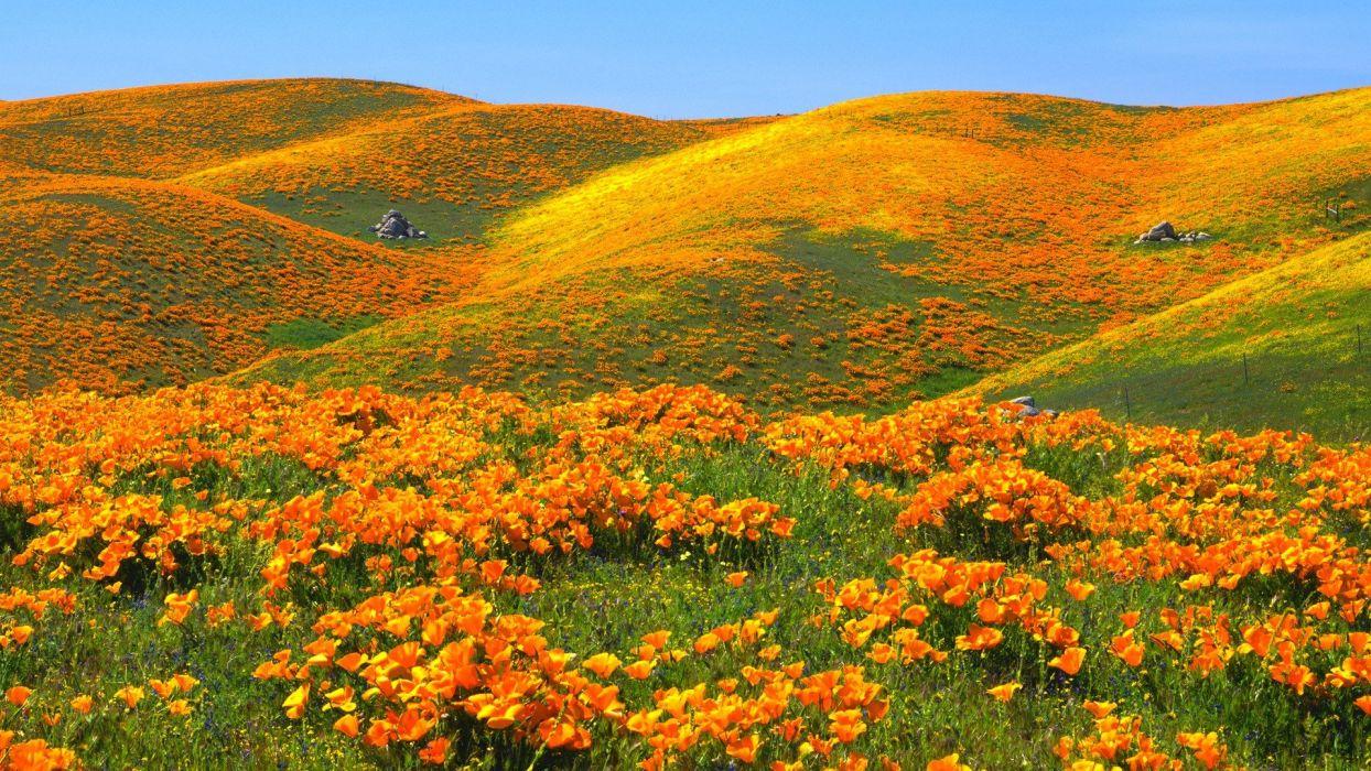 1244x700 Hills valleys California antelope .
