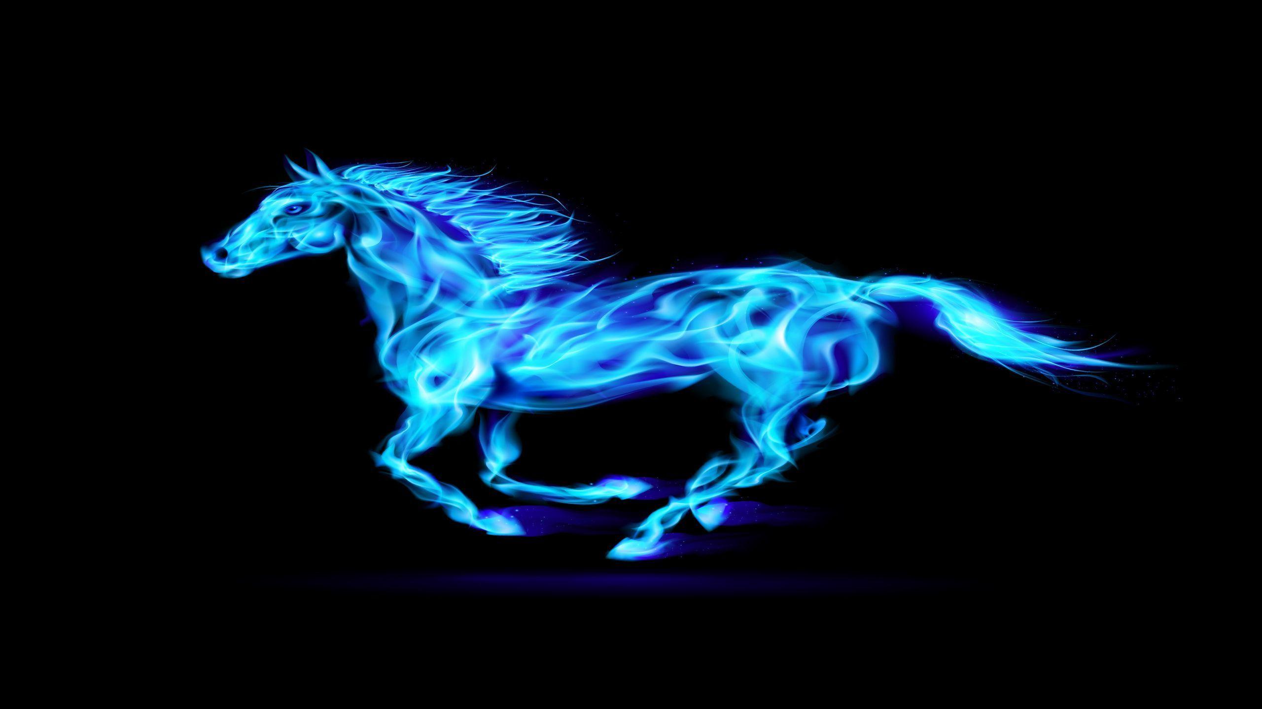 2560x1440 Running Horse Wallpaper