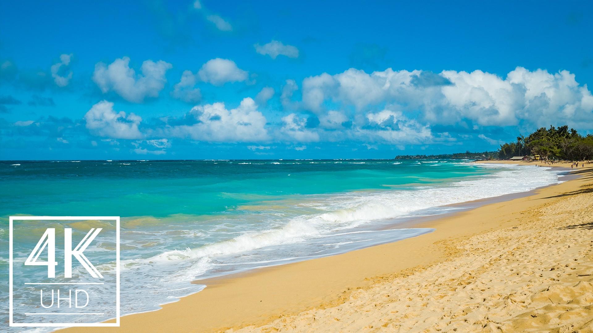 1920x1080 4K Tropical Nature Wallpaper Slideshow Beauty of Hawaii Nature (without music)