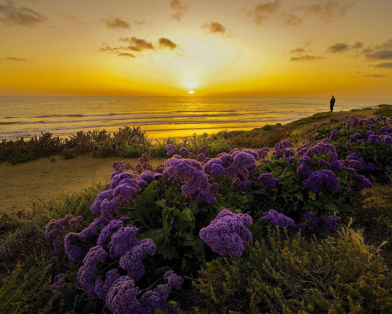1280x1024 Download wallpaper 1280x1024 pacific .