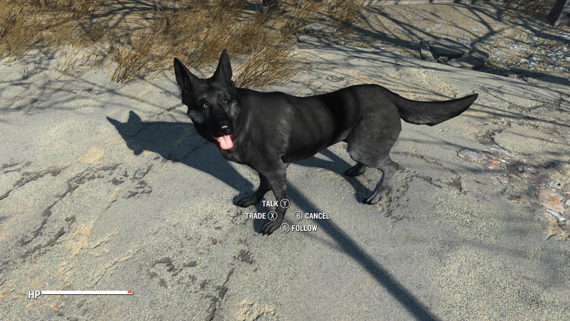 1920x1080 PC (Dogmeat texture mod). Se7enSins Gaming Community