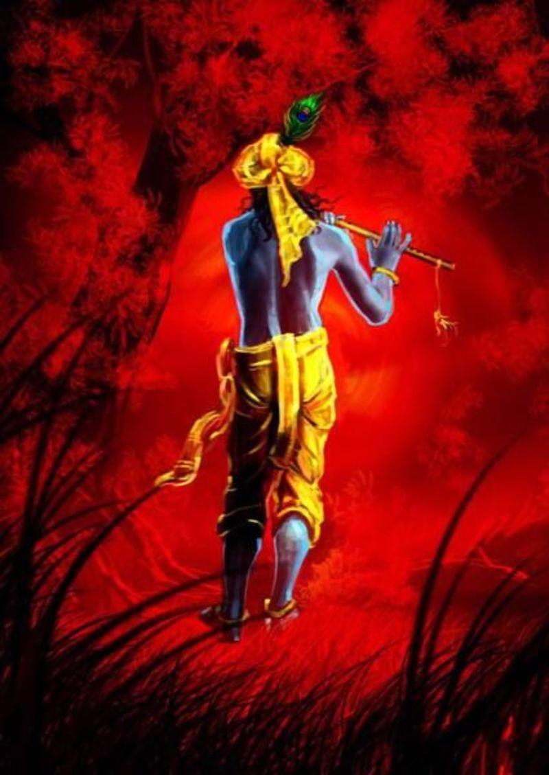 800x1129 Krishna Digital Painting HD Wallpaper .itl.cat