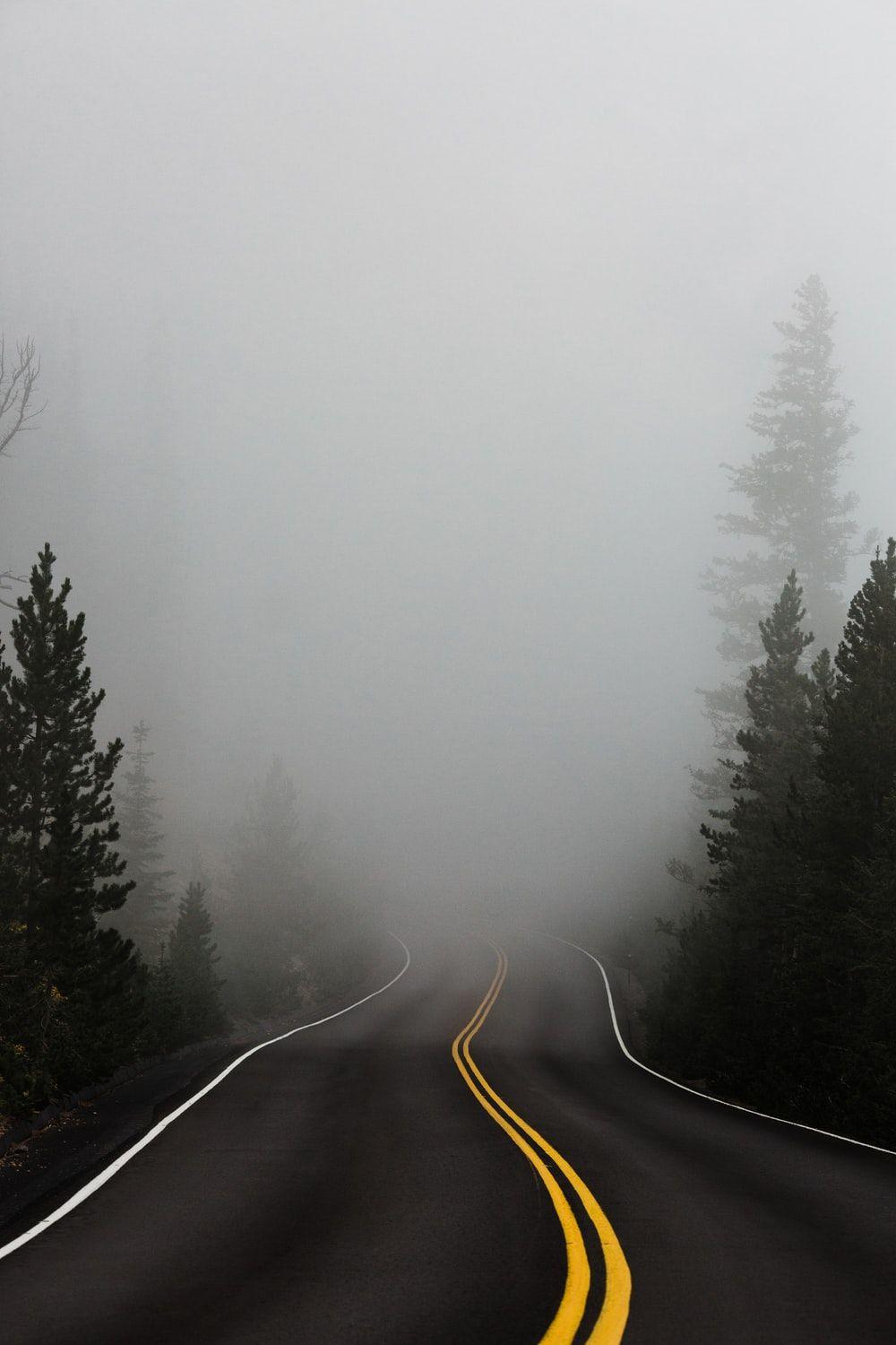 1000x1500 Fog Picture. Download Free Image on .com