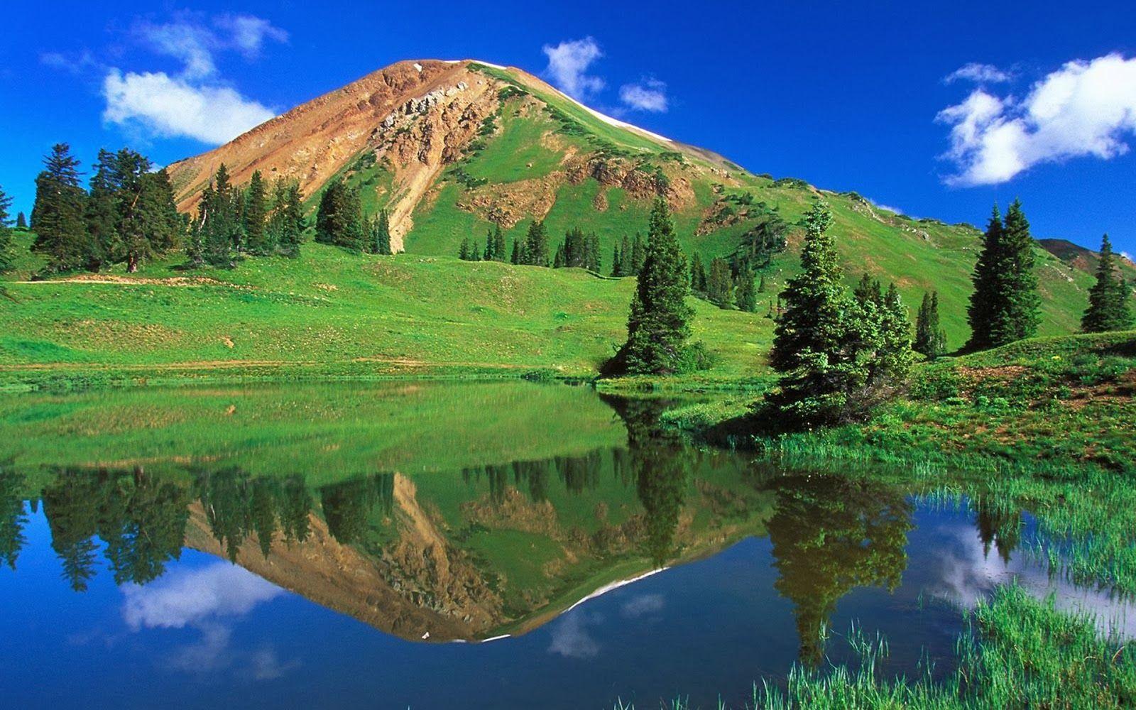 Hình ảnh nền máy tính để bàn những nơi tự nhiên có màu xanh lá cây đẹp nhất có kích thước 1600x1000