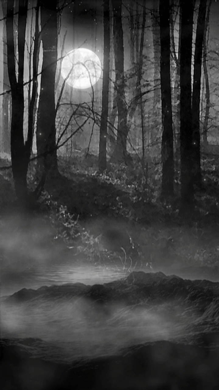 720x1282 misty forest wallpaper. misty dark .com
