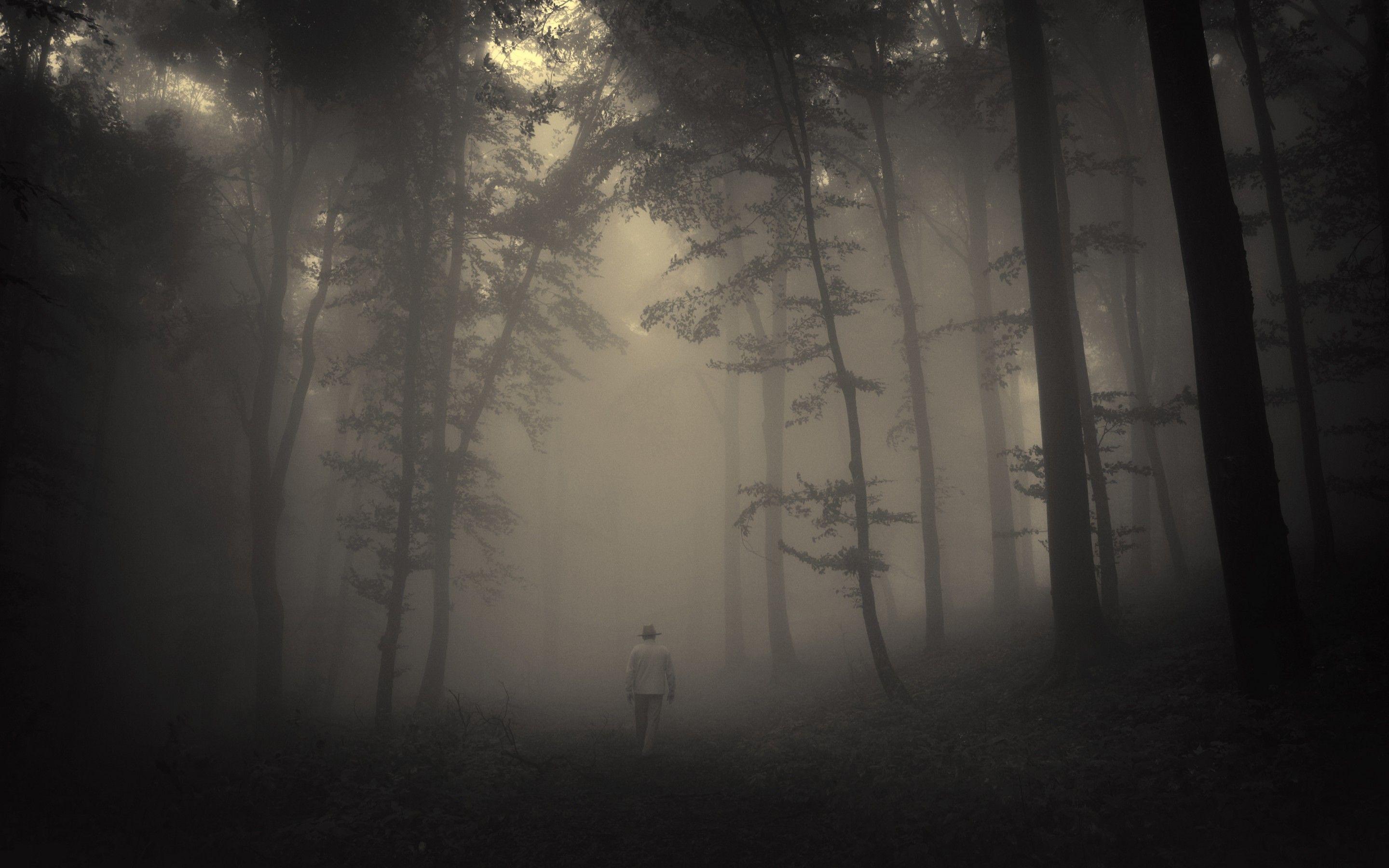 2880x1800 Creepy Forest Background Group Wallpaper