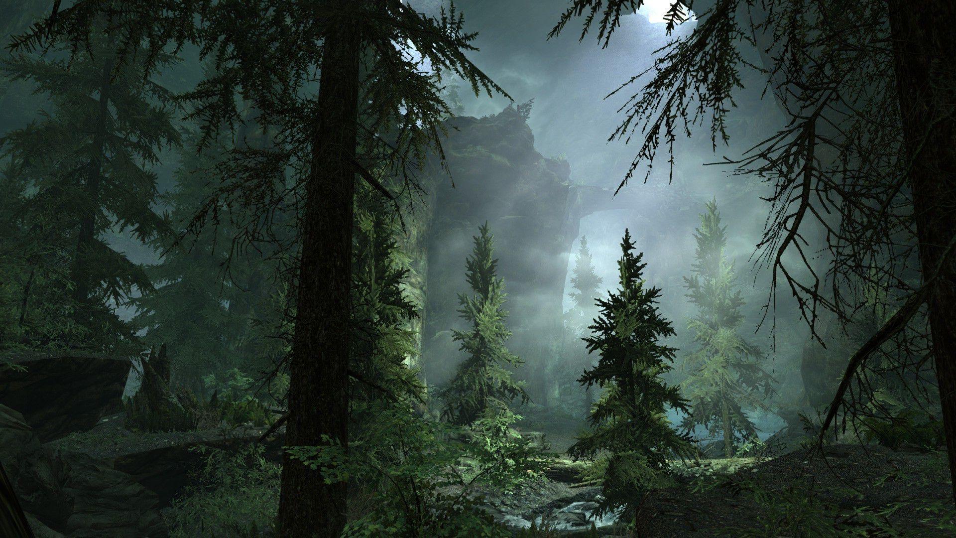 1920x1080 Title Fog In The Forest Earth .