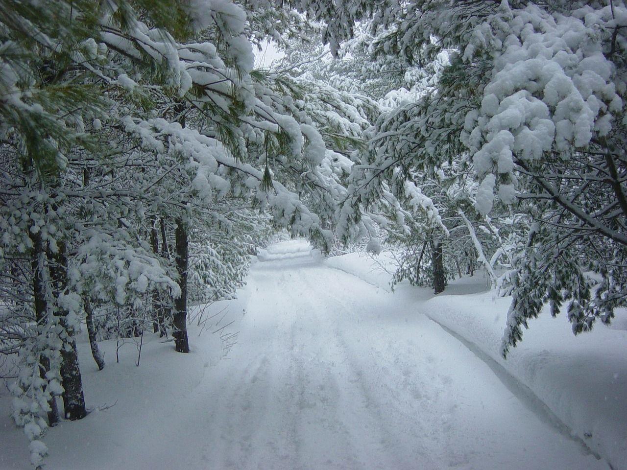 1280x960 Winter Weather Terms: Winter Storm Warnings, Watches, and Advisories. The Old Farmer's Almanac
