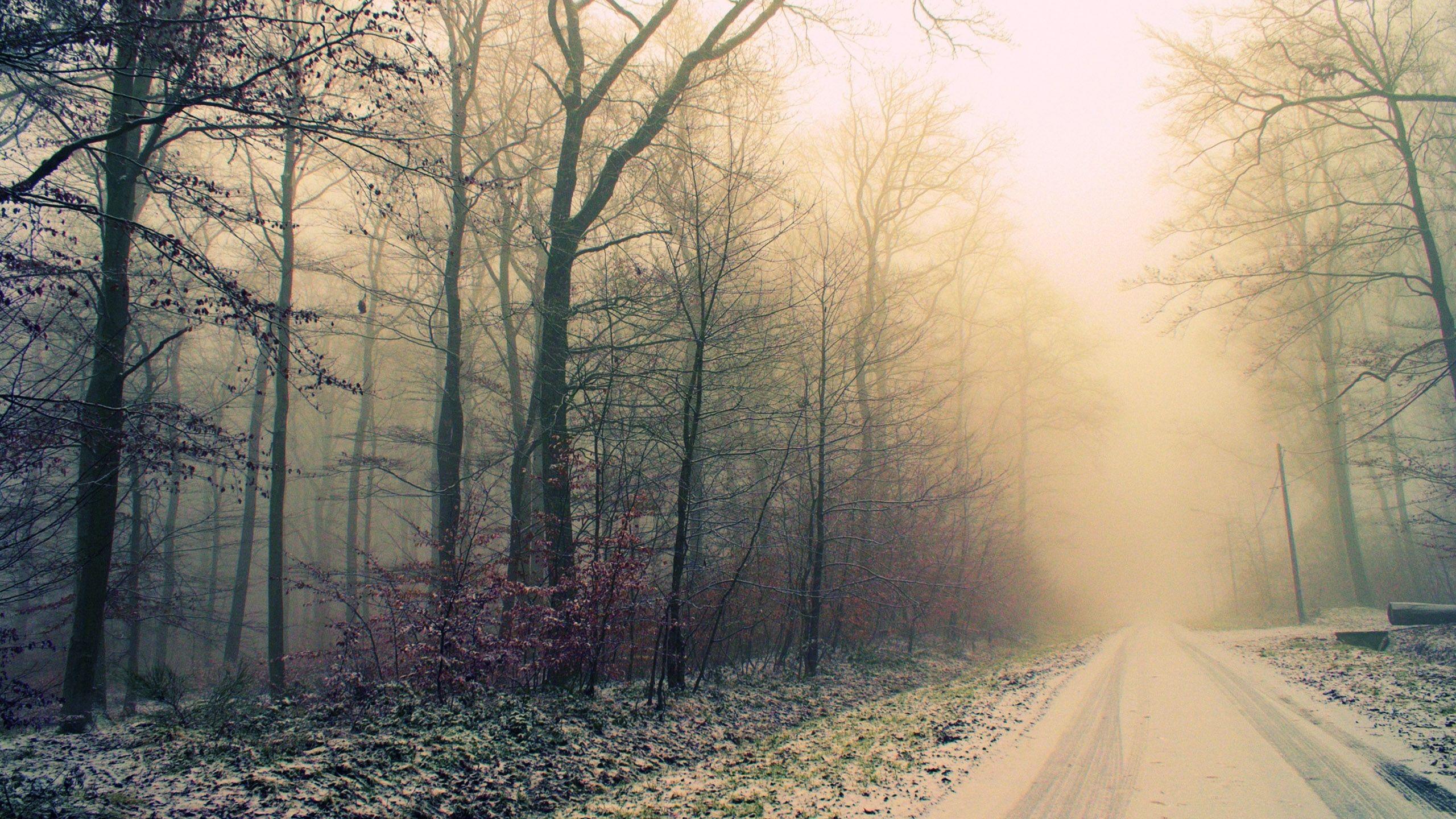 2560x1440 Free download Foggy Weather Desktop HD .