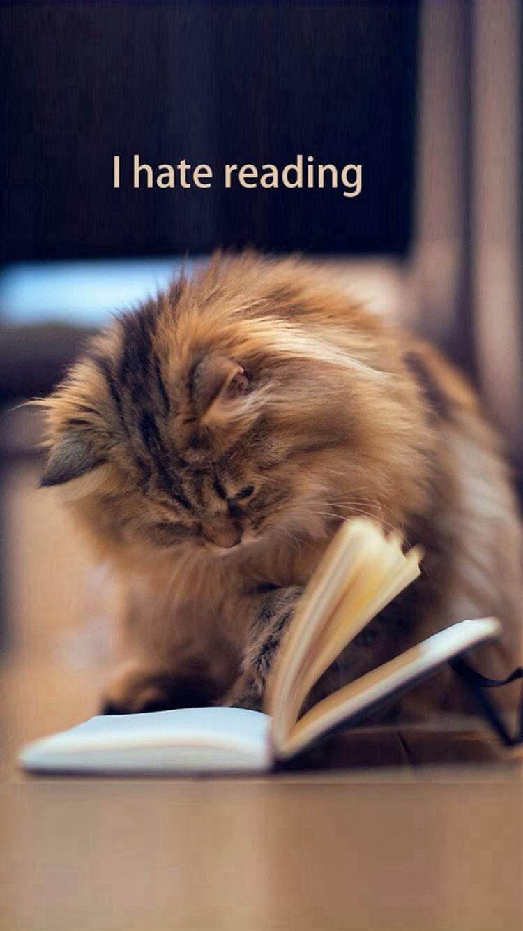 750x1334 Cute Kitten I Hate Reading iPhone 8 .
