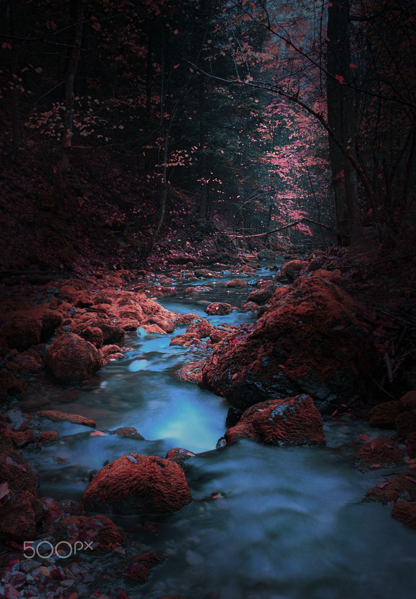 1423x2048 Stream Forest Scene .com