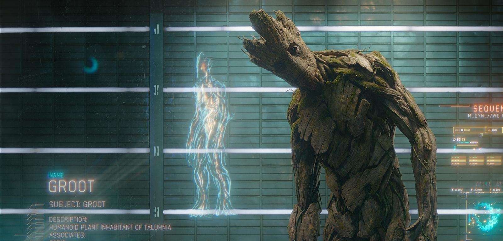 1600x768 Groot wallpaper HD for desktop background