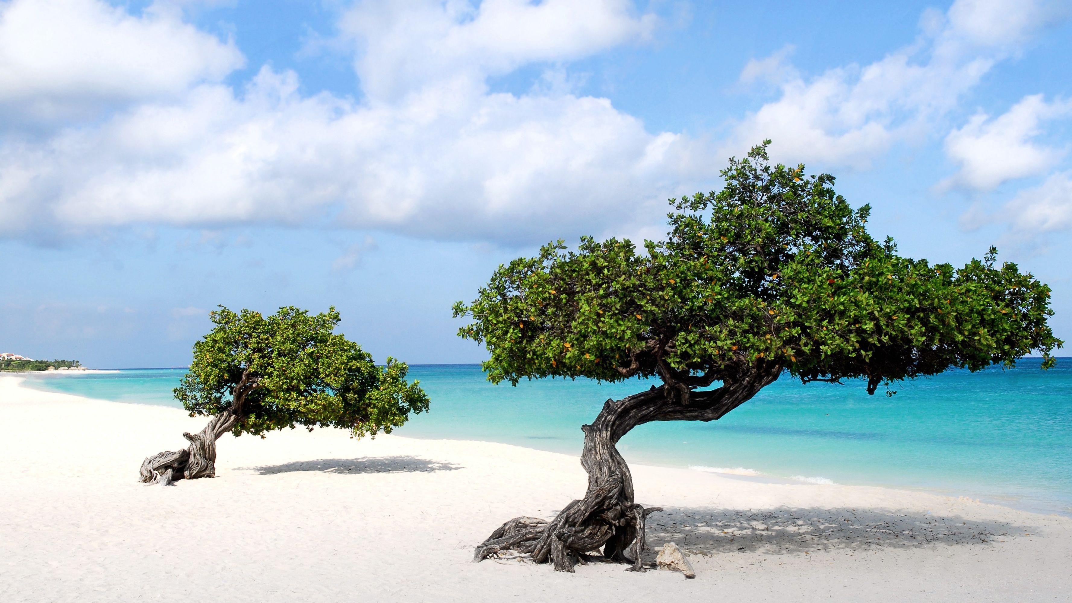 3554x1999 Aruba Wallpaper on .