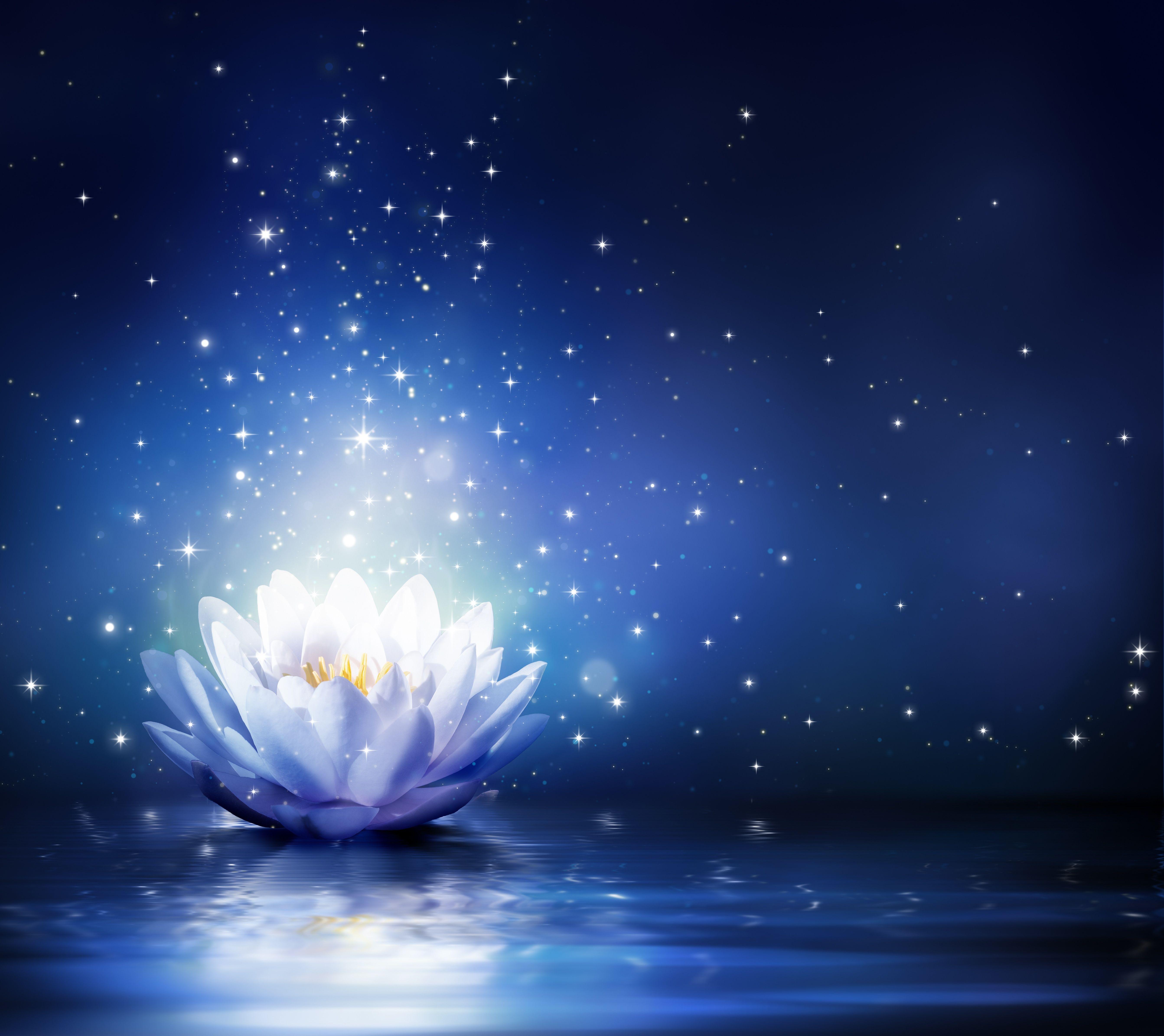 5370x4780 Flower Computer Wallpaper, Desktop Backgroundx4780. Blue lotus, Lotus flower meaning, Background