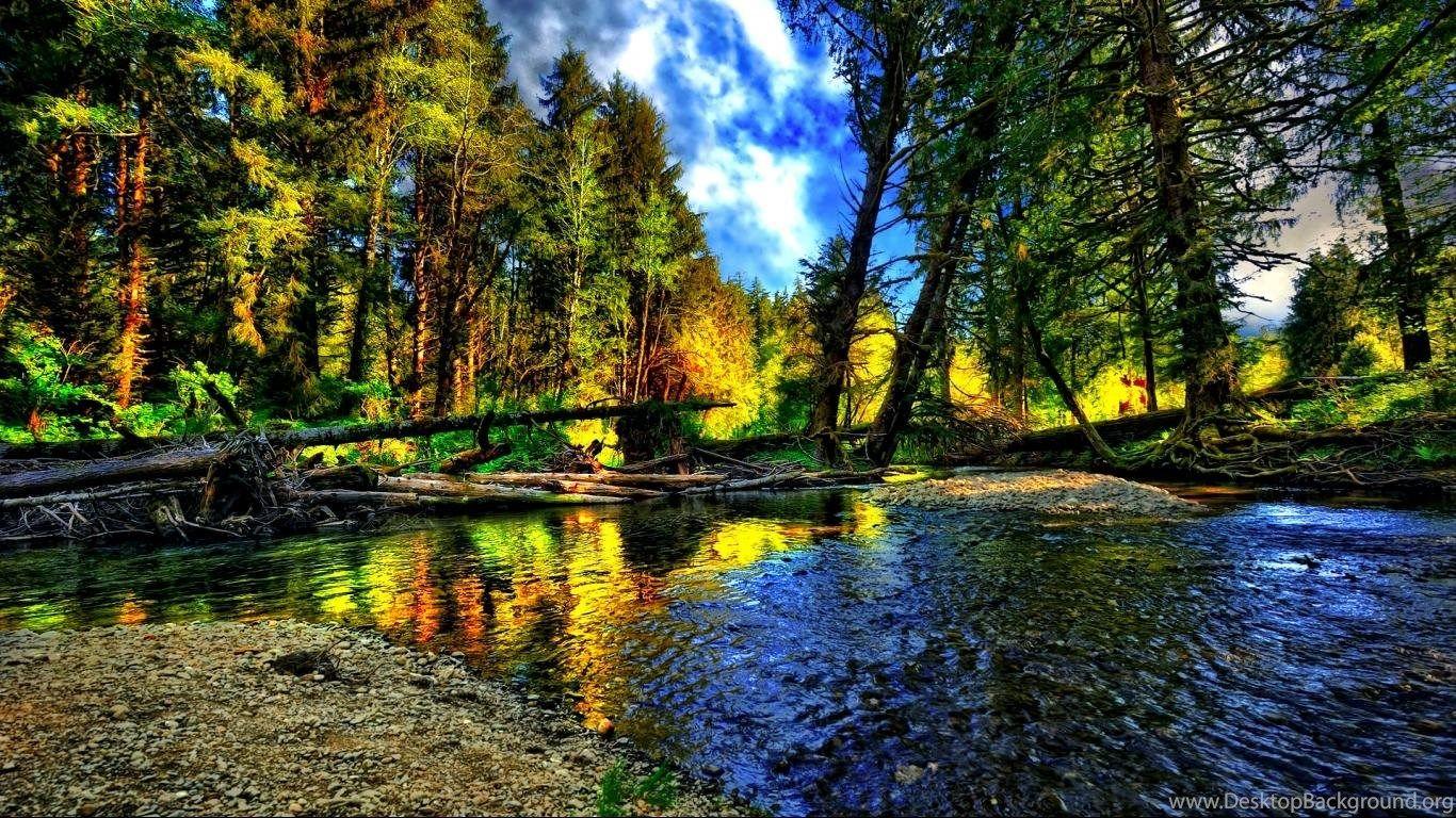 1366x768 Forest Scene Desktop Wallpaper Desktop Wallpaper Home 179 Desktop Background