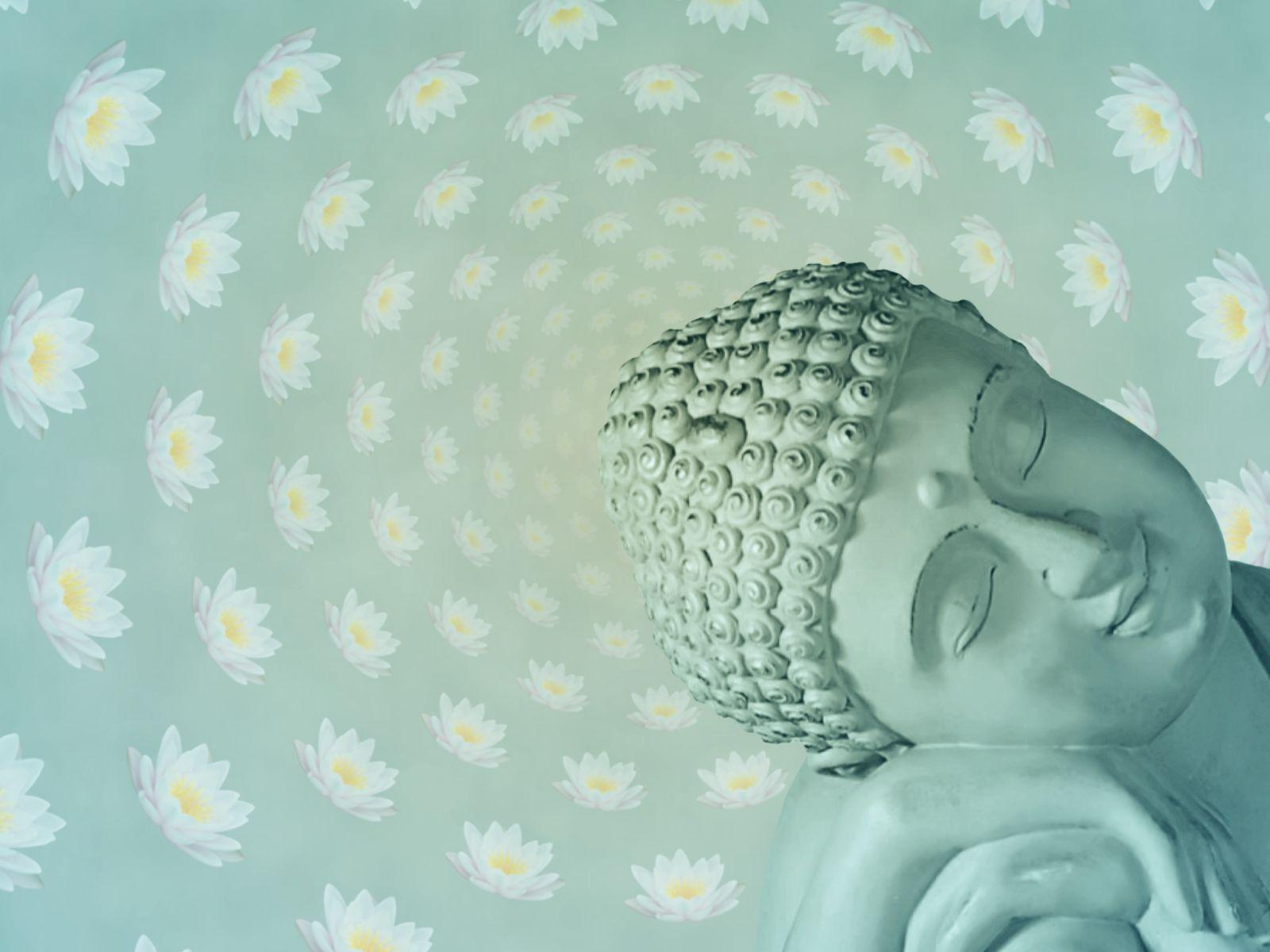 1600x1200 Lotus Buddha Quotes. QuotesGram