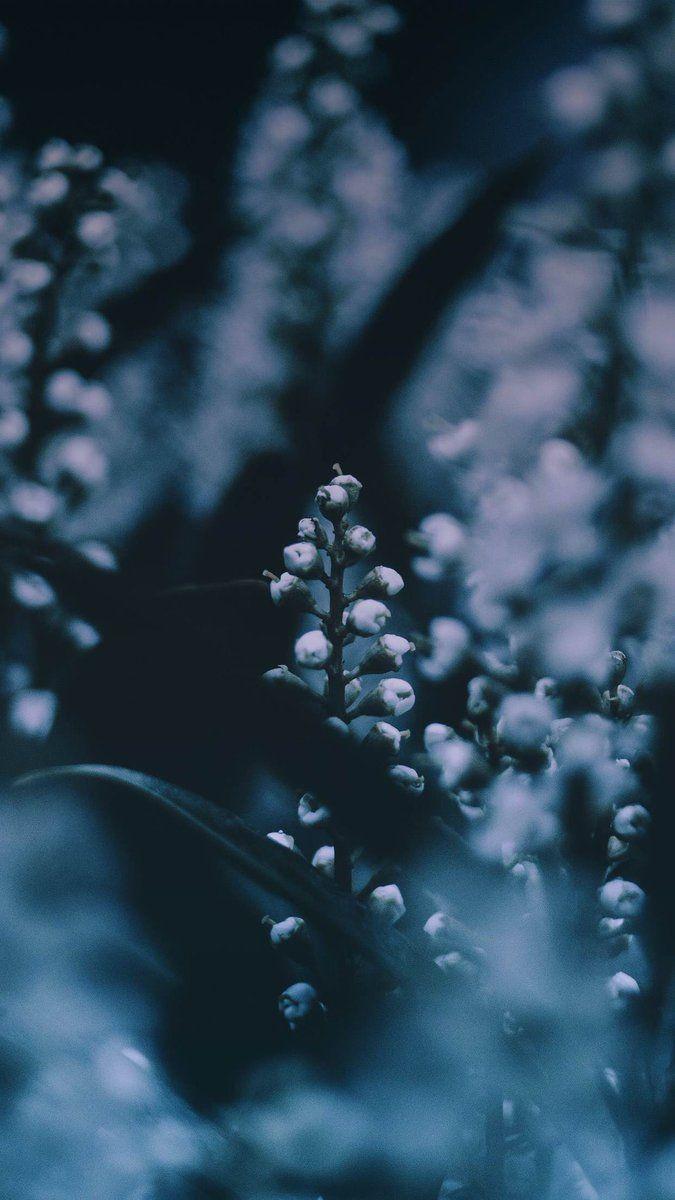 675x1200 iPhone Home Screen Wallpaper 4k .