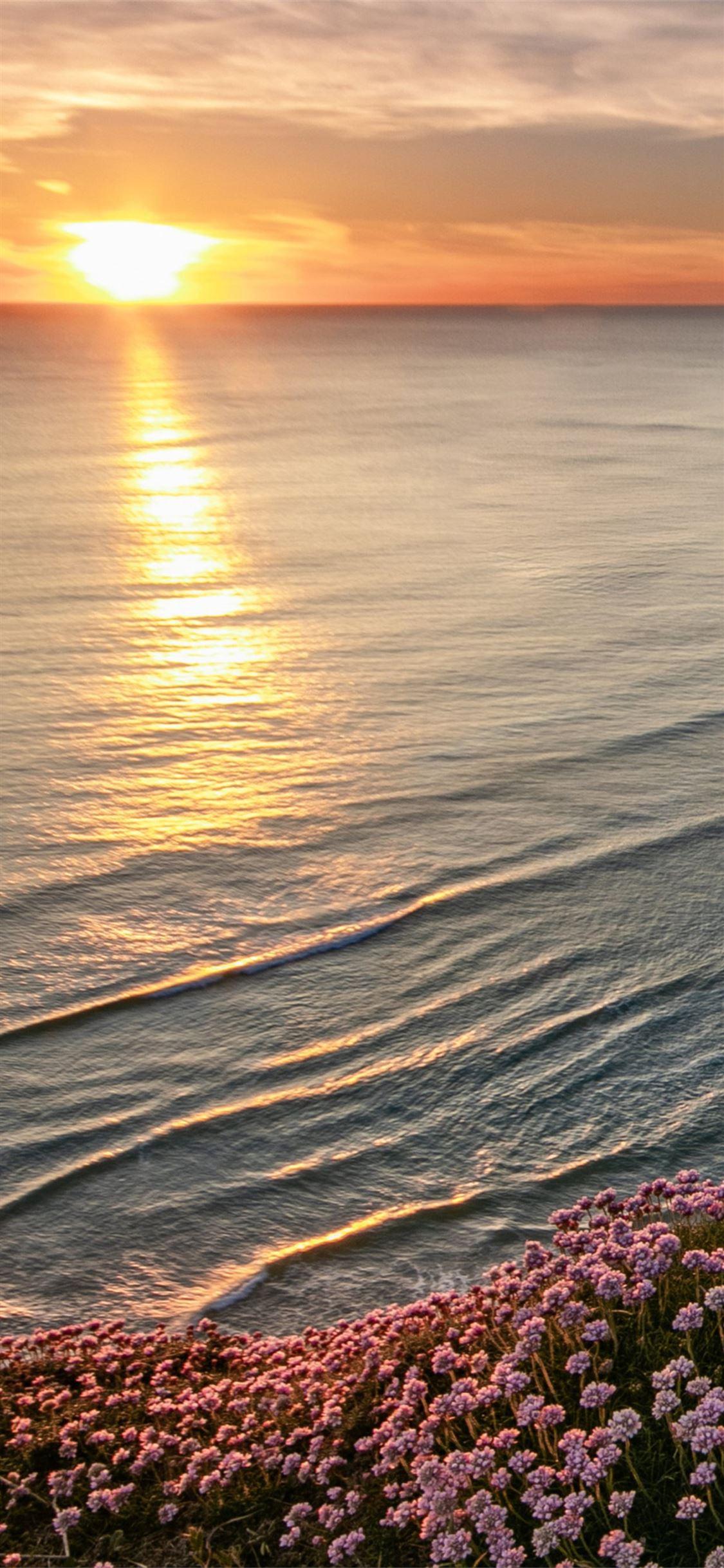 1125x2436 beautiful beach horizon iPhone 11 .