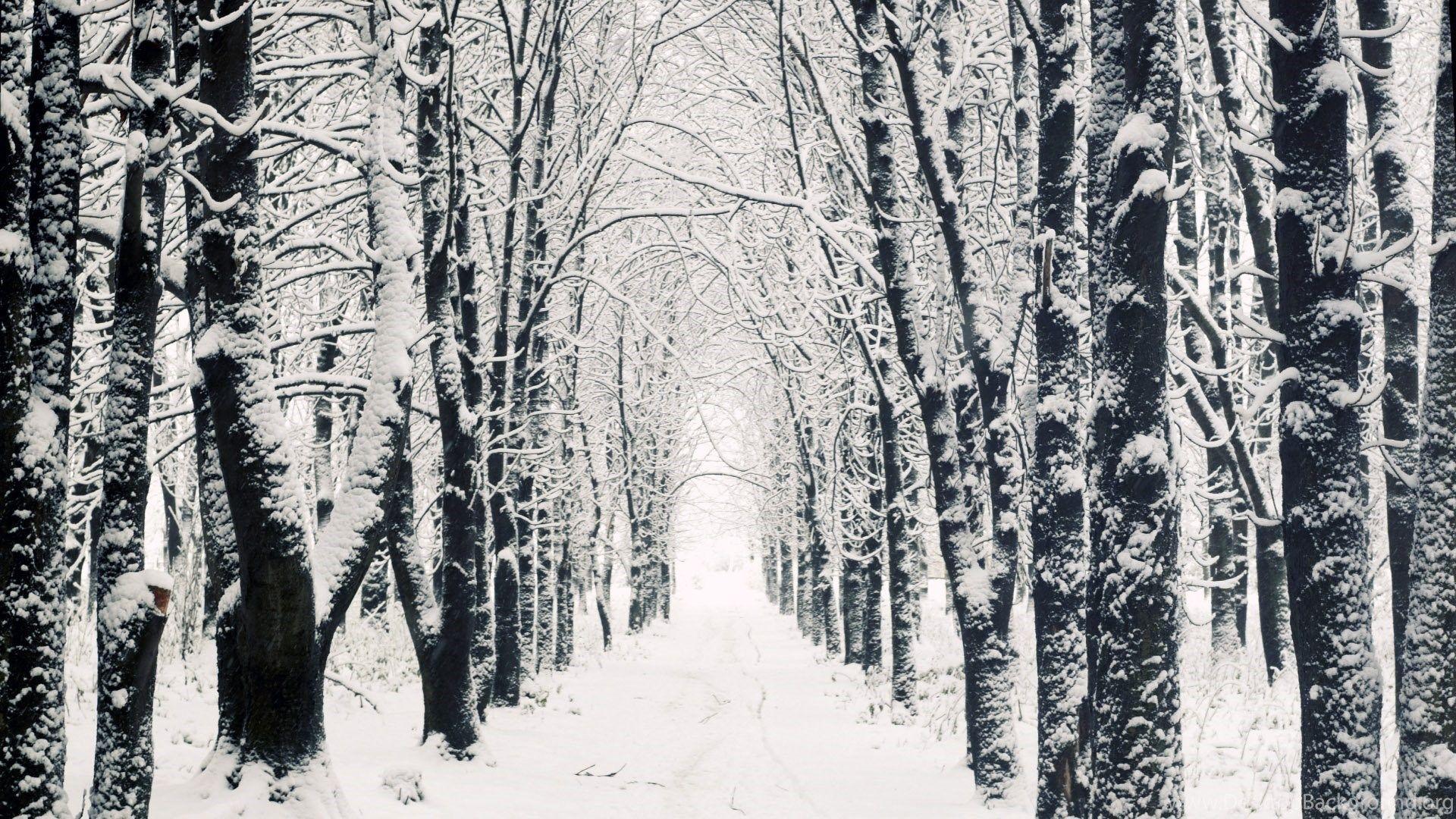 1920x1080 Snowy Apple Mac HD Wallpaper Winter .