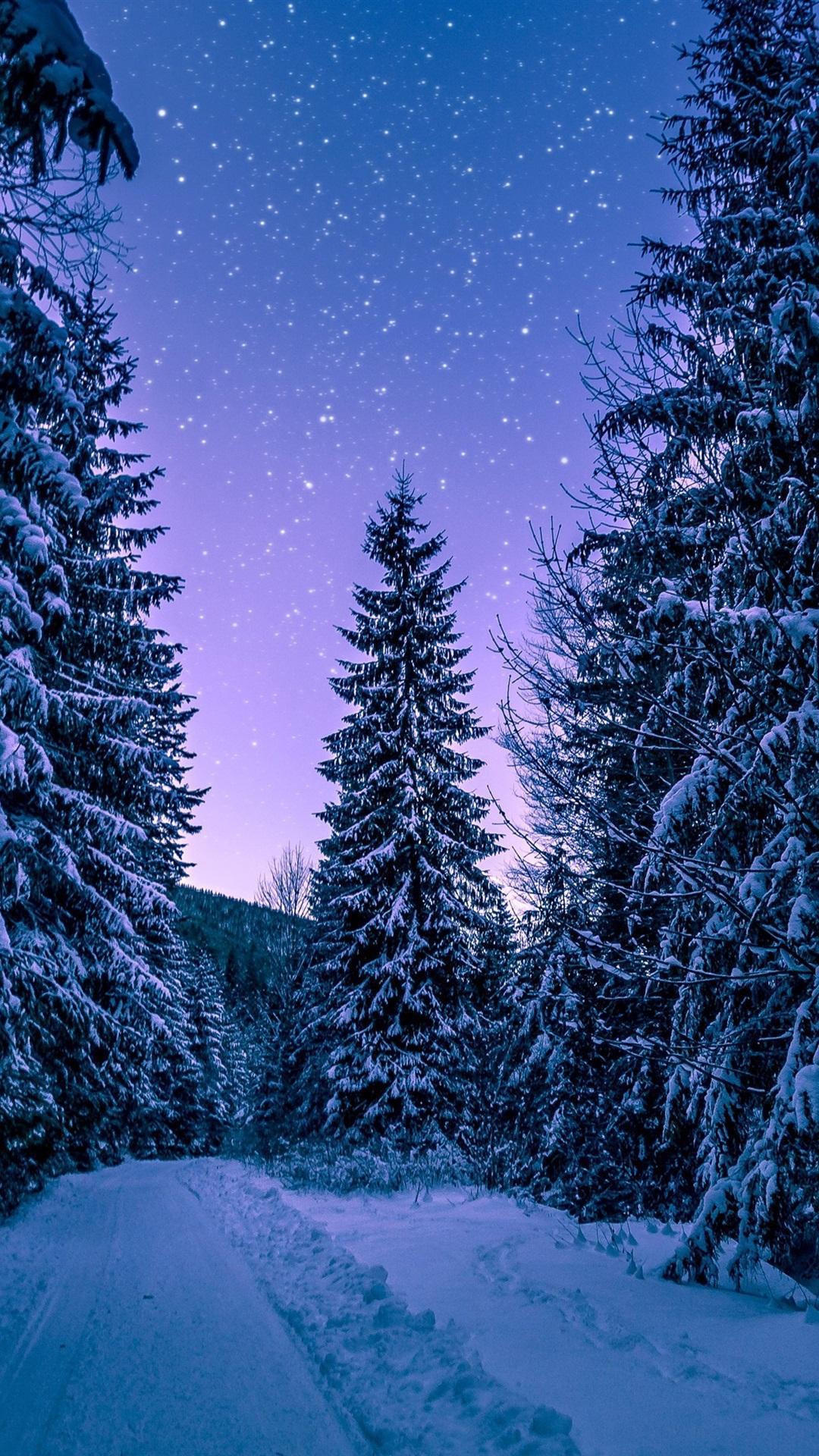 1080x1920 Winter Forest Wallpaper