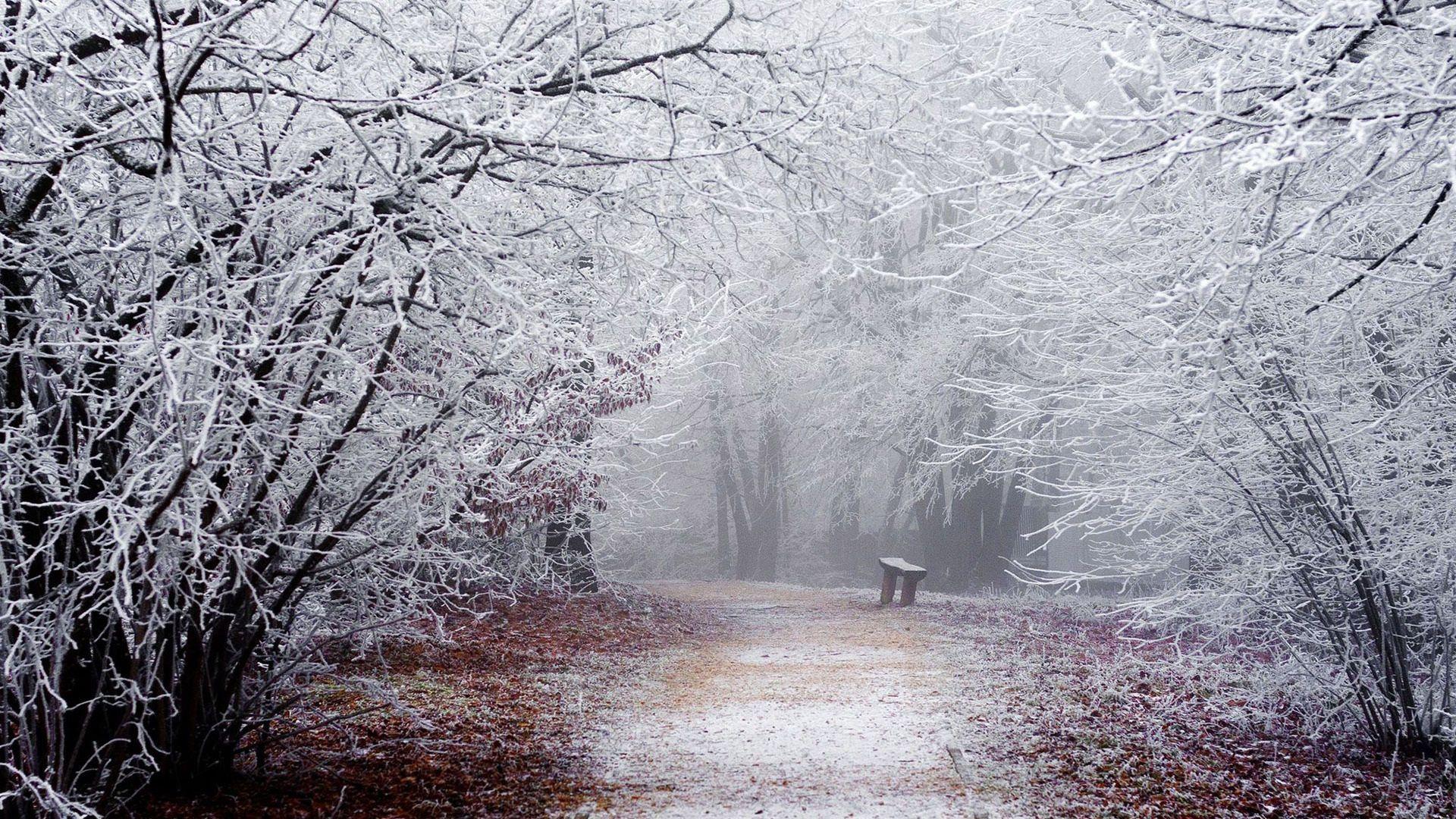 1920x1080 Free Winter Wallpaper For Computer .