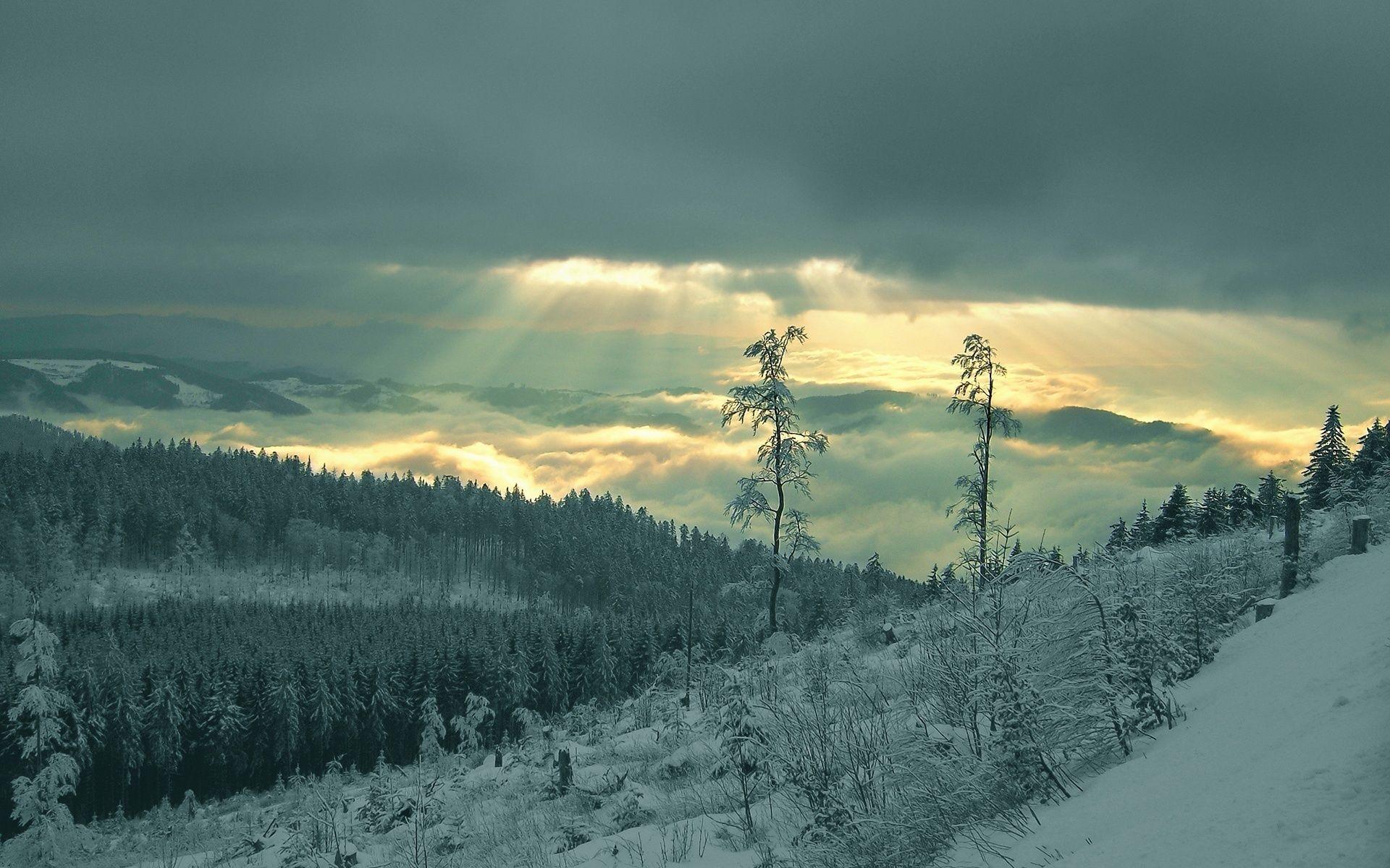 1920x1200 Dark Green Winter