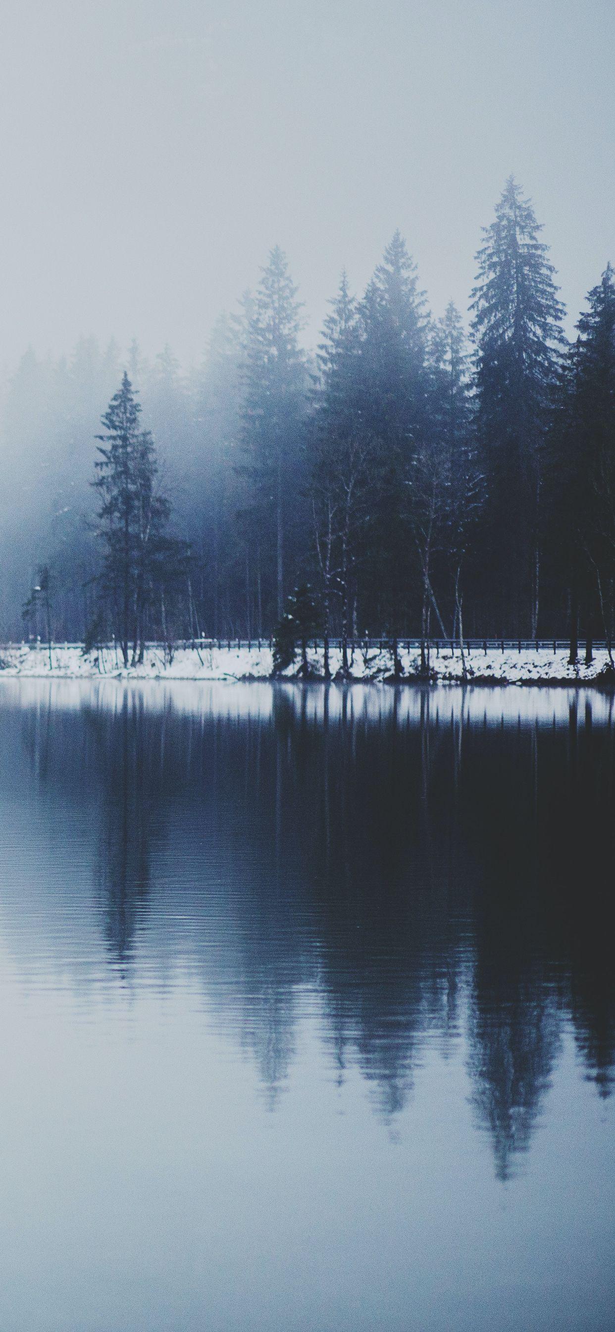 1242x2688 winter wallpaper for