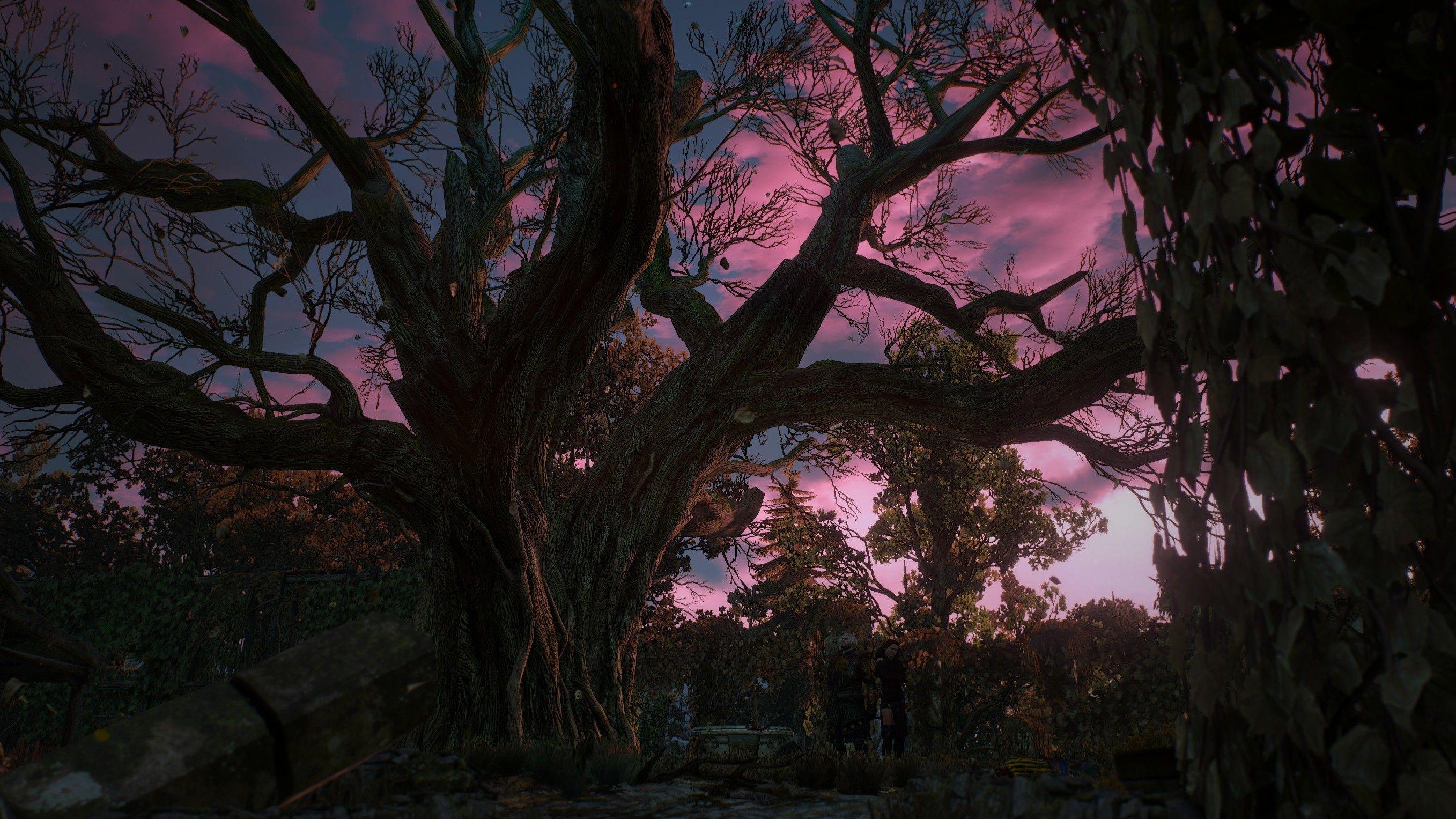 2715x1527 The Witcher 3: Wild Hunt, Geralt Of .
