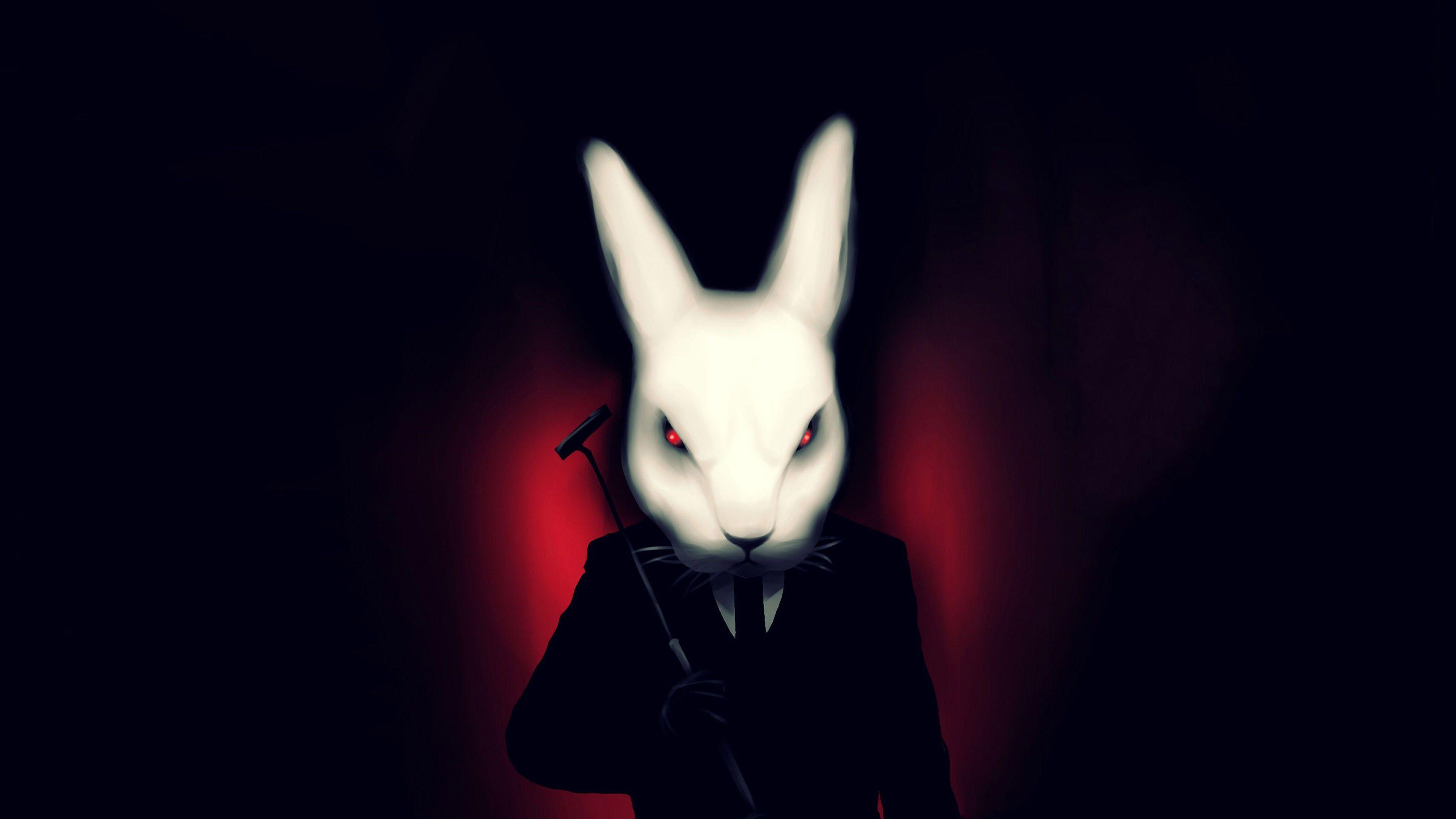 3840x2160 Bad Bunny Aesthetic Rabbit Face 4K HD .hdwallpaper.in