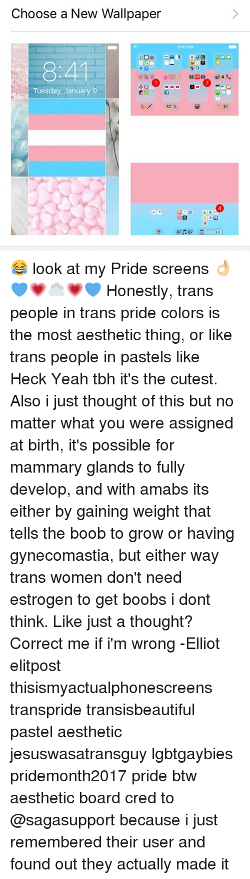 500x1754 Memes, Tbh, And Yeah Pride Wallpaper Trans