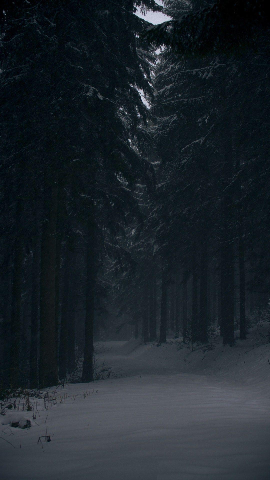 1080x1920 Dark Aesthetic Wallpaper Background For iPhone You'll Love. Glory of the Snow
