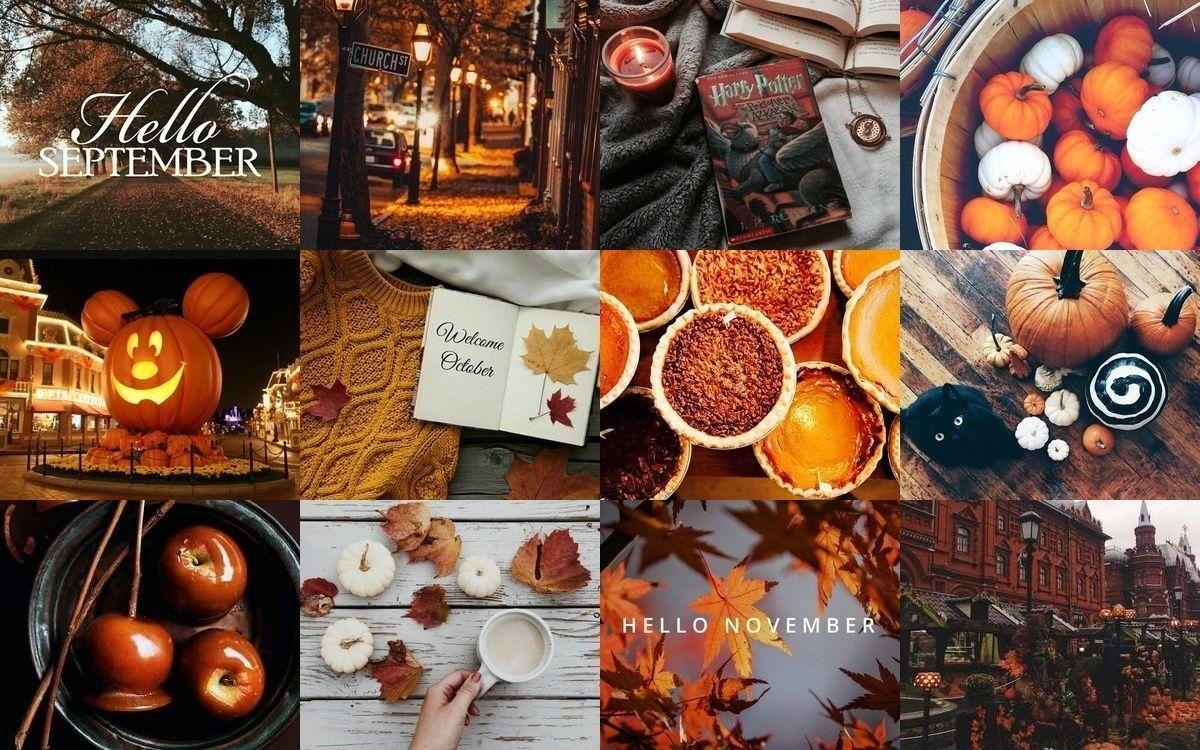 Fall Collage Desktop Wallpapers - Top Free Fall Collage Desktop ...