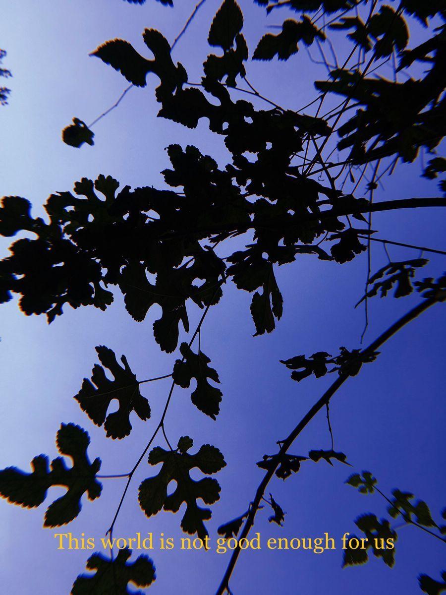 900x1200 Get New Aesthetic Backgroundwallpaper.lelong.my.id