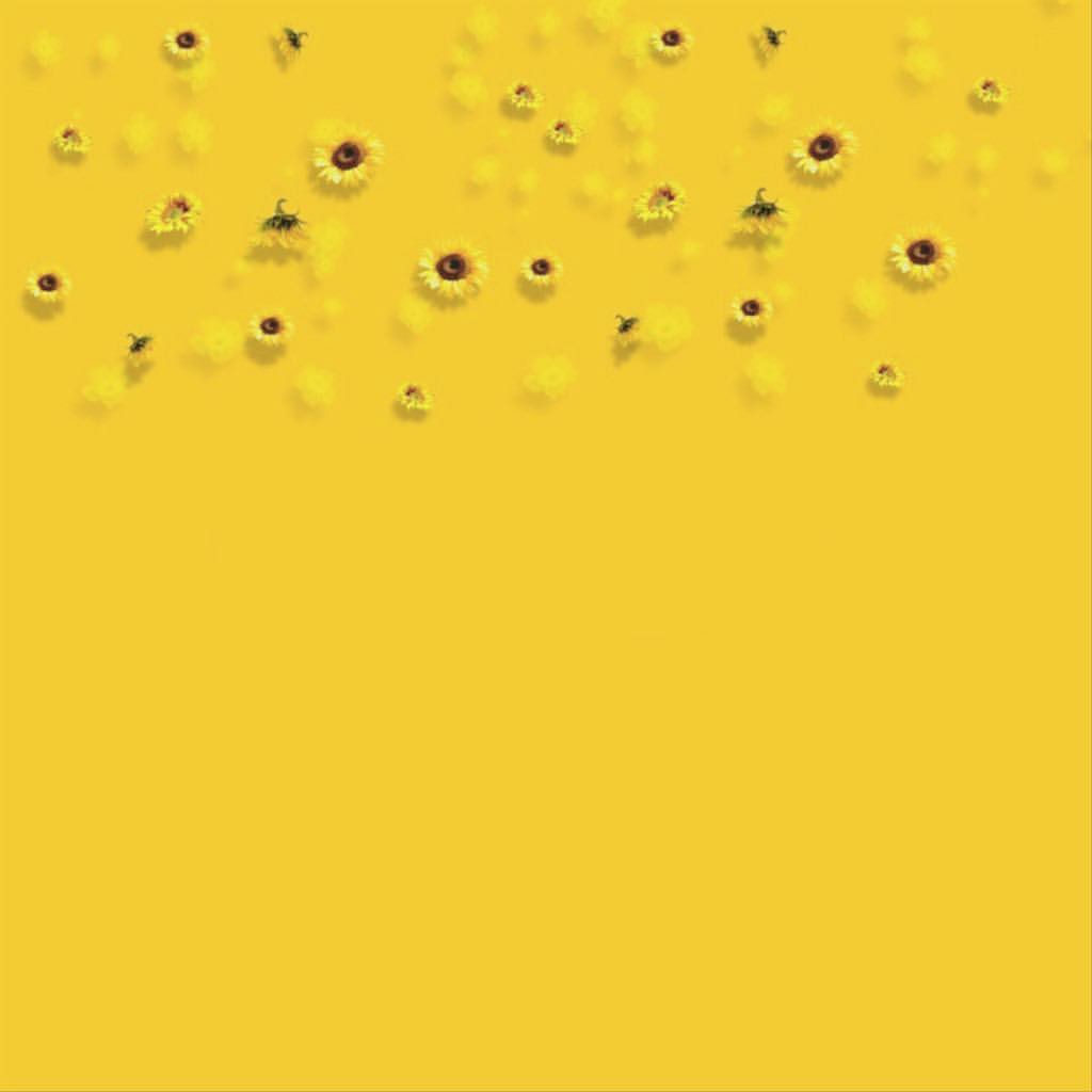 1024x1024 Sunflower Aesthetic Wallpaper on .wallpaper.dog