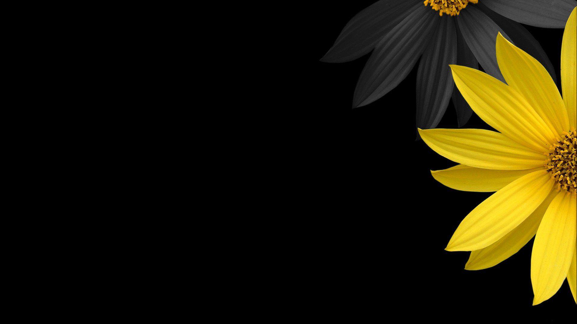 1920x1080 Simple HD Wallpaper For Desktop .