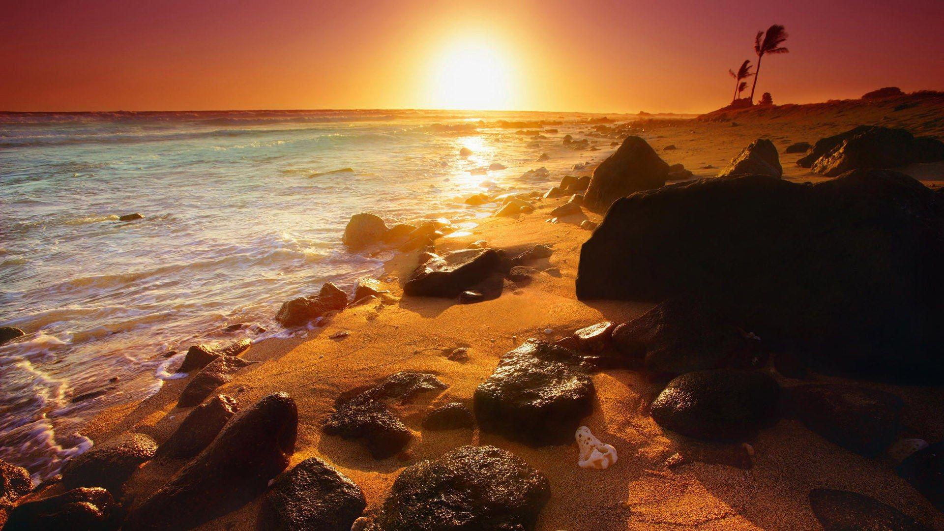 1920x1080 Free download Naturalistic HD nature .