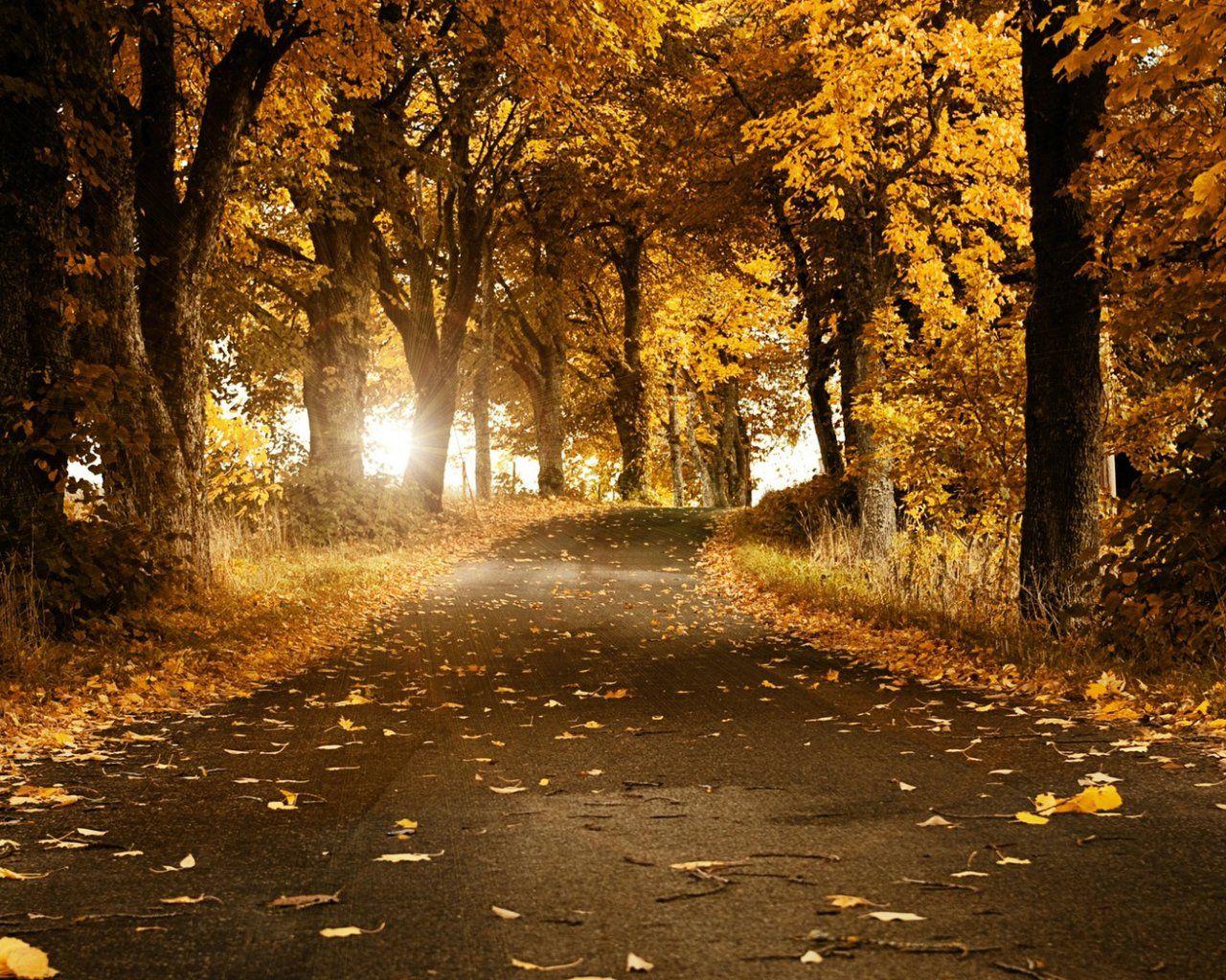 1280x1024 Free download Desktop wallpaper scenery .