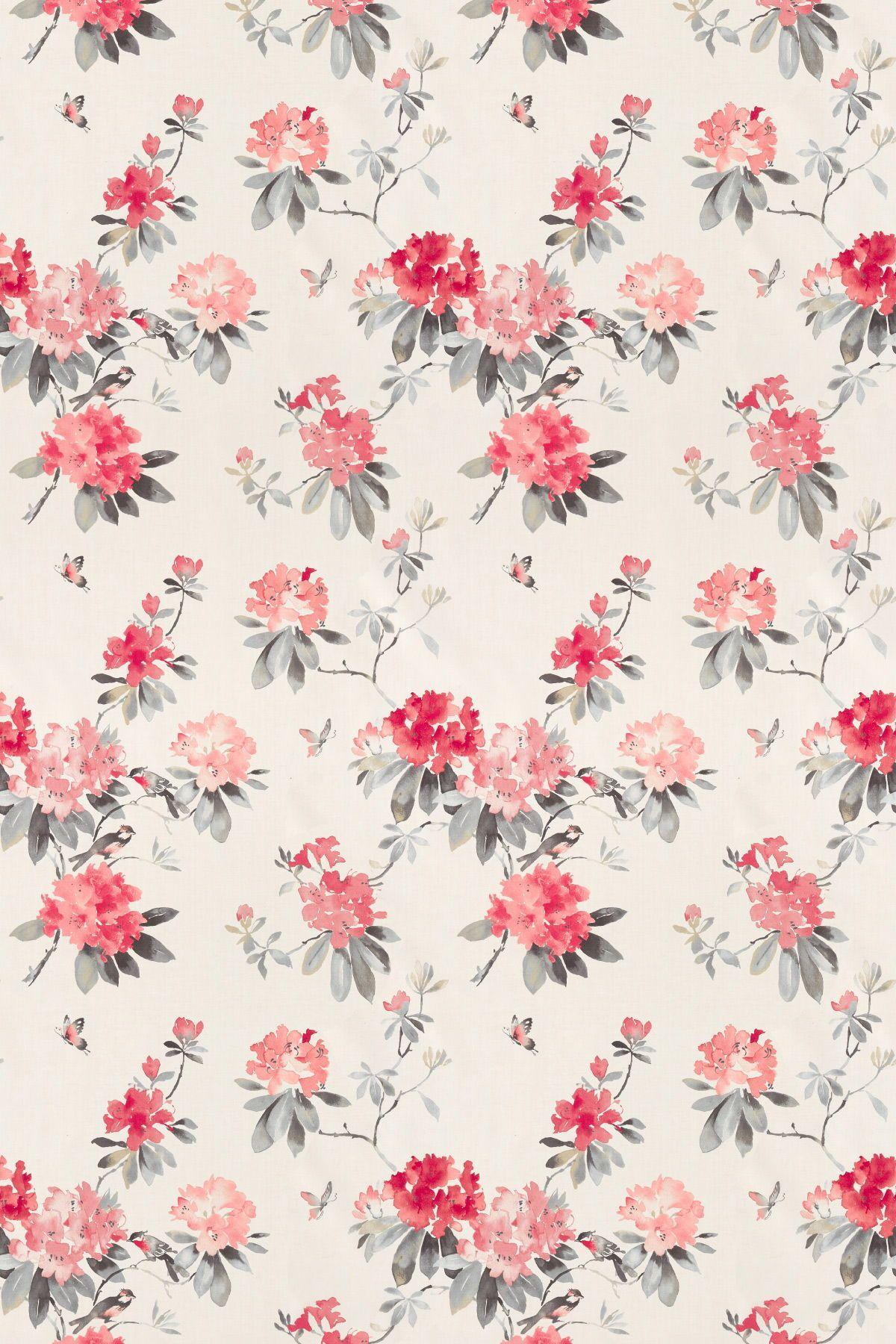 1200x1800 Coral wallpaper, Flower